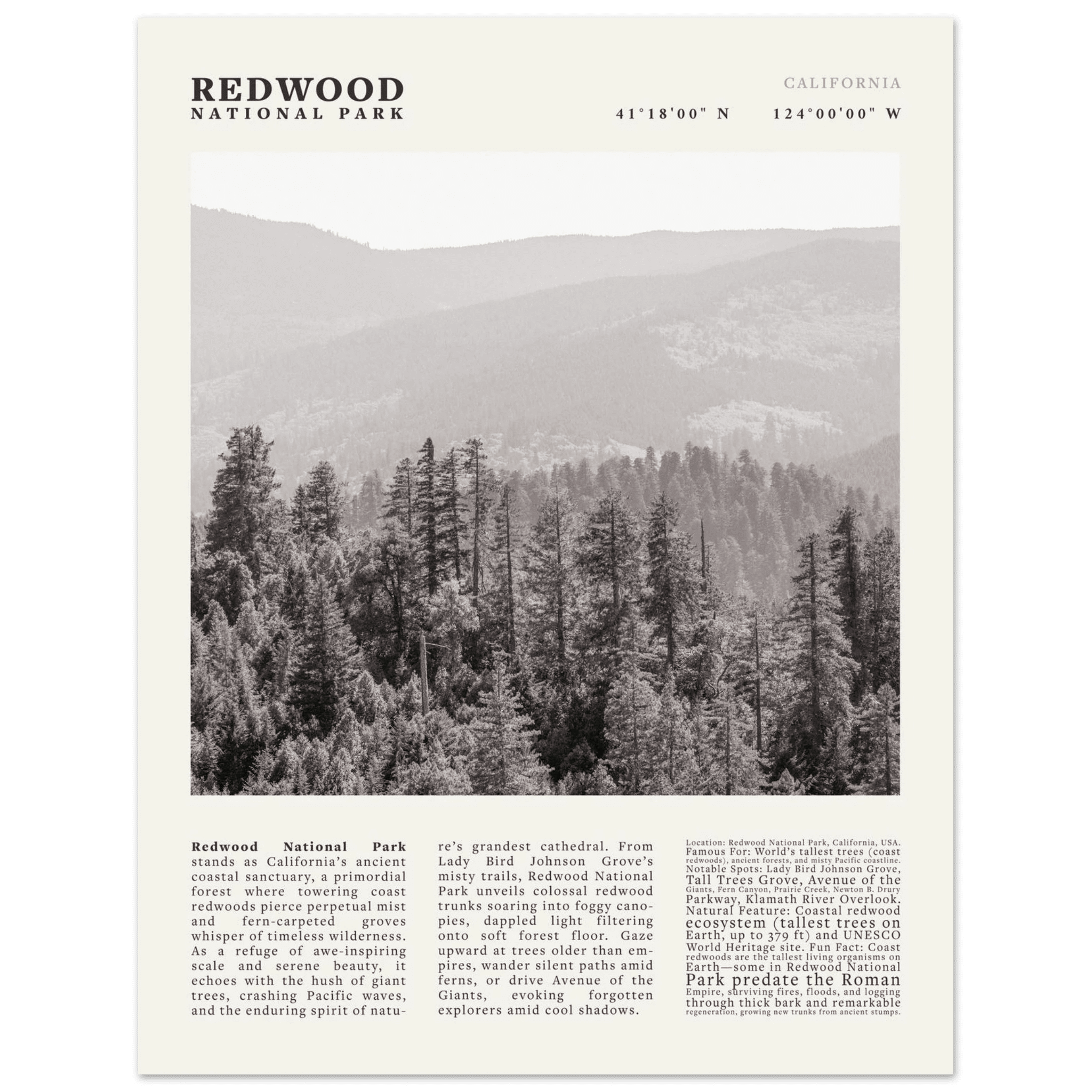 Redwood National Park Poster Black and White – Vintage Foggy Redwood Forest Print - Evergreen Posters