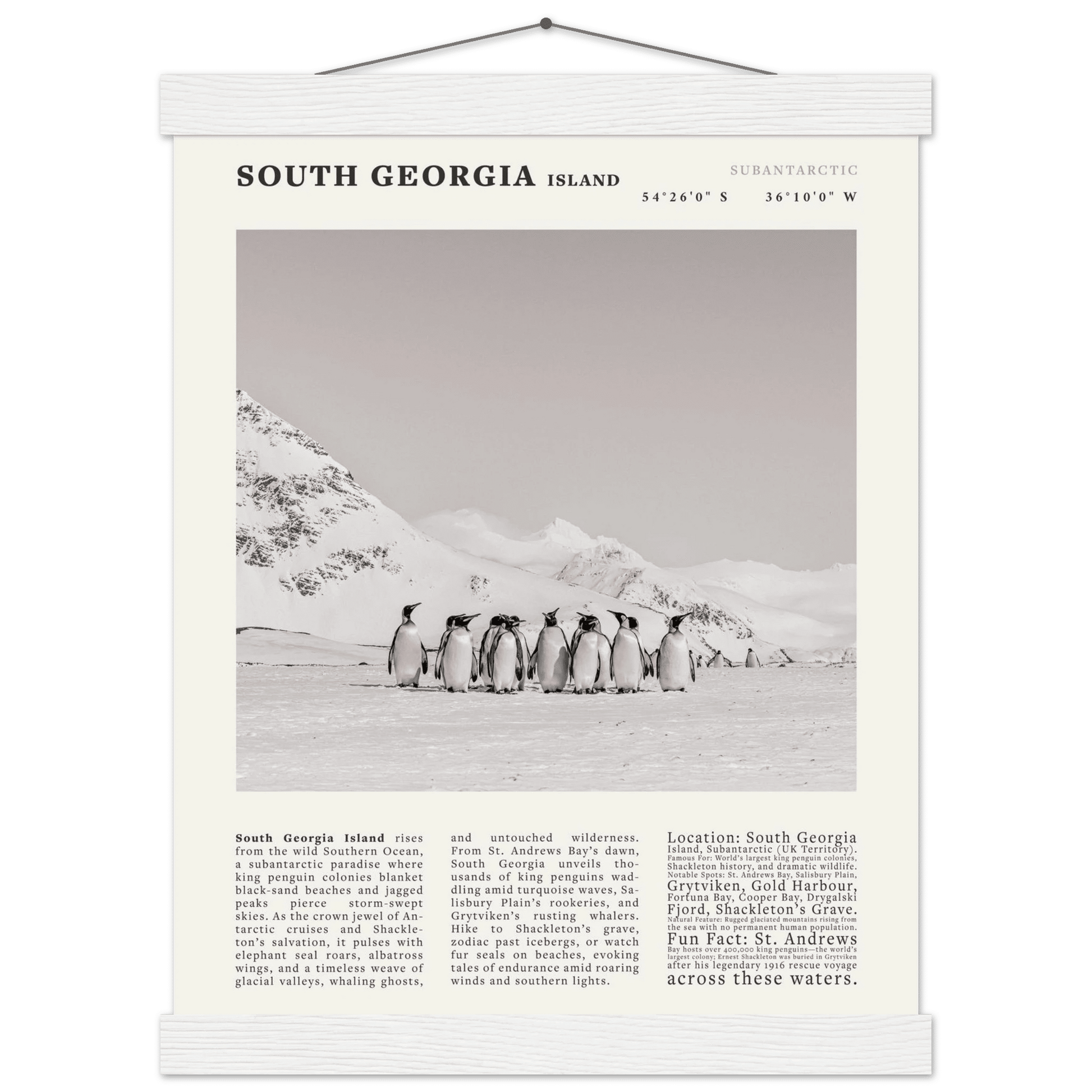 South Georgia Island Black and White Vintage Poster - Evergreen Posters