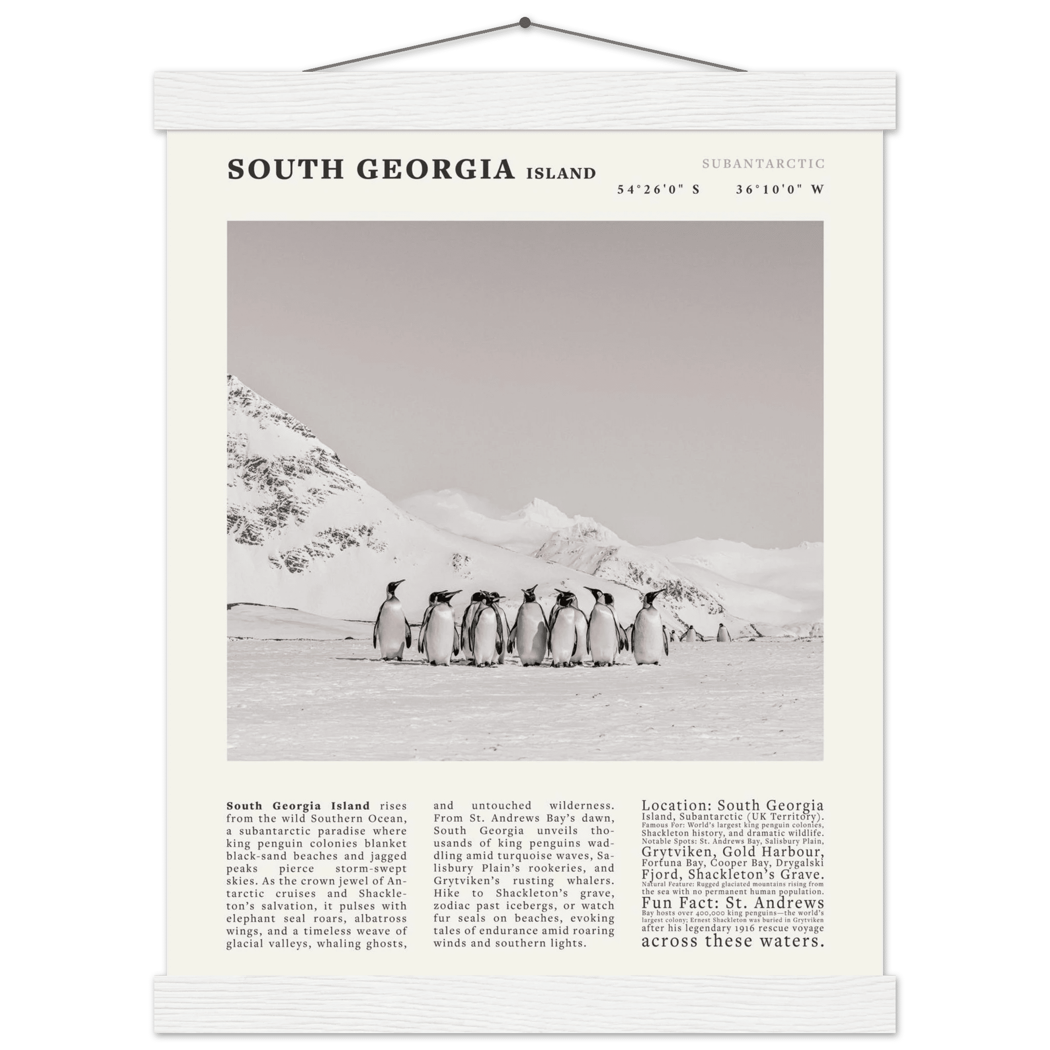South Georgia Island Black and White Vintage Poster - Evergreen Posters