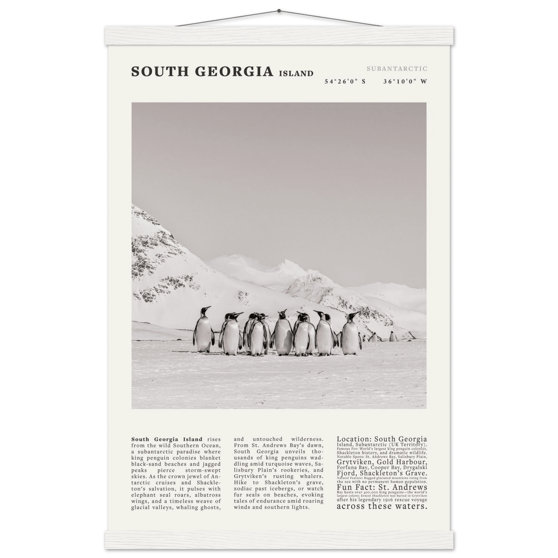 South Georgia Island Black and White Vintage Poster - Evergreen Posters