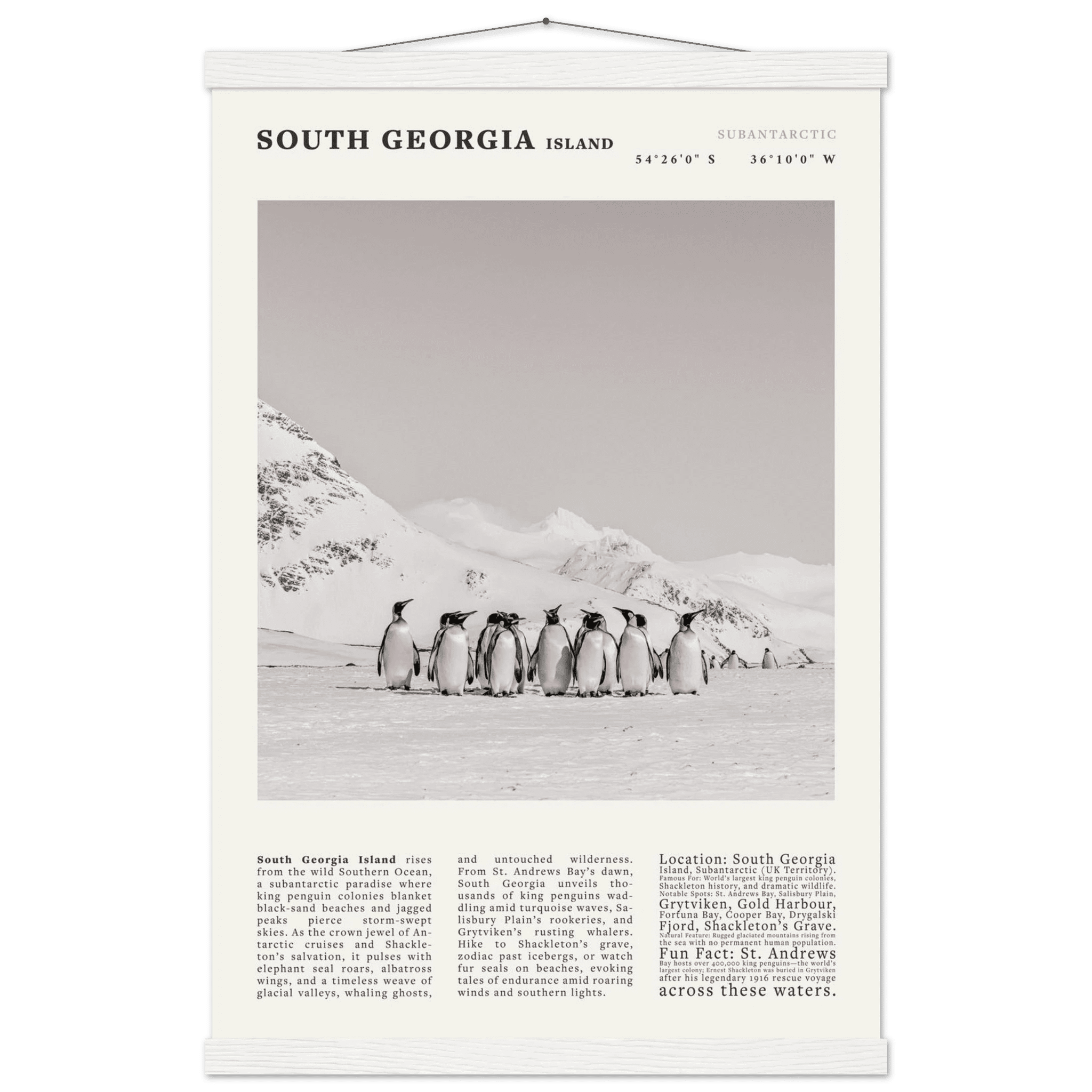 South Georgia Island Black and White Vintage Poster - Evergreen Posters