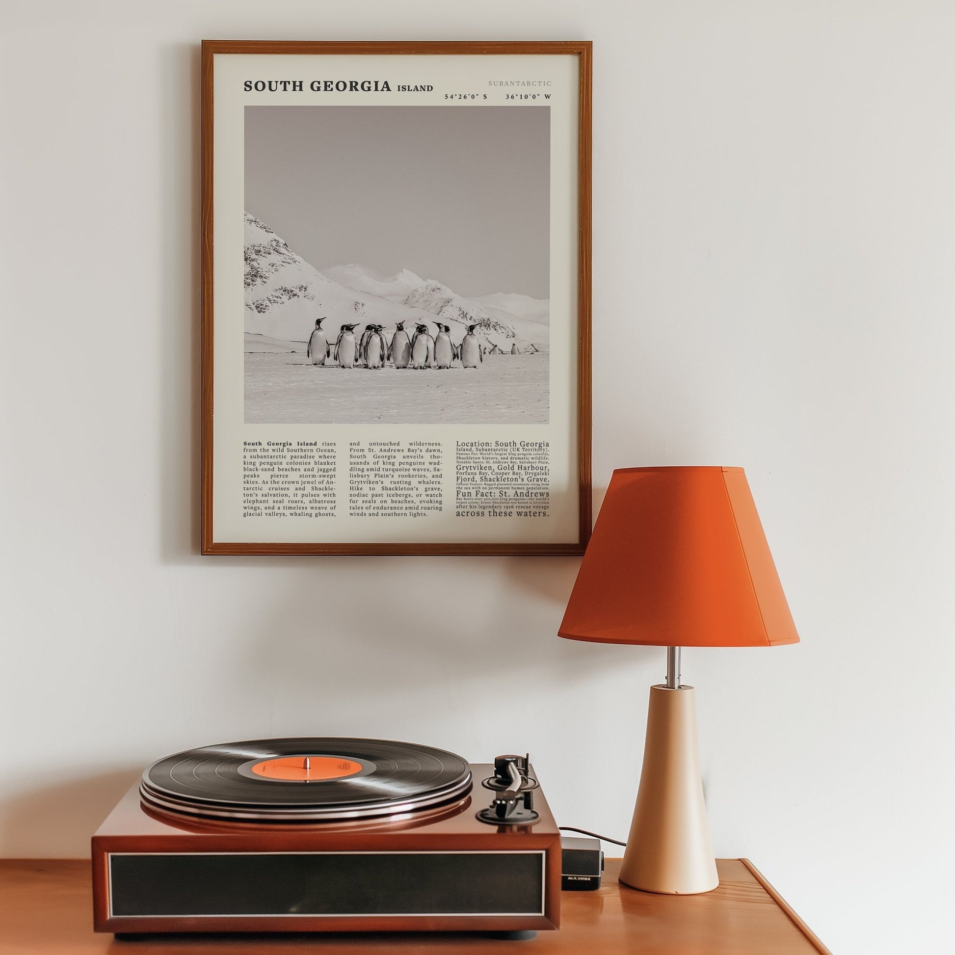 South Georgia Island Black and White Vintage Poster - Evergreen Posters