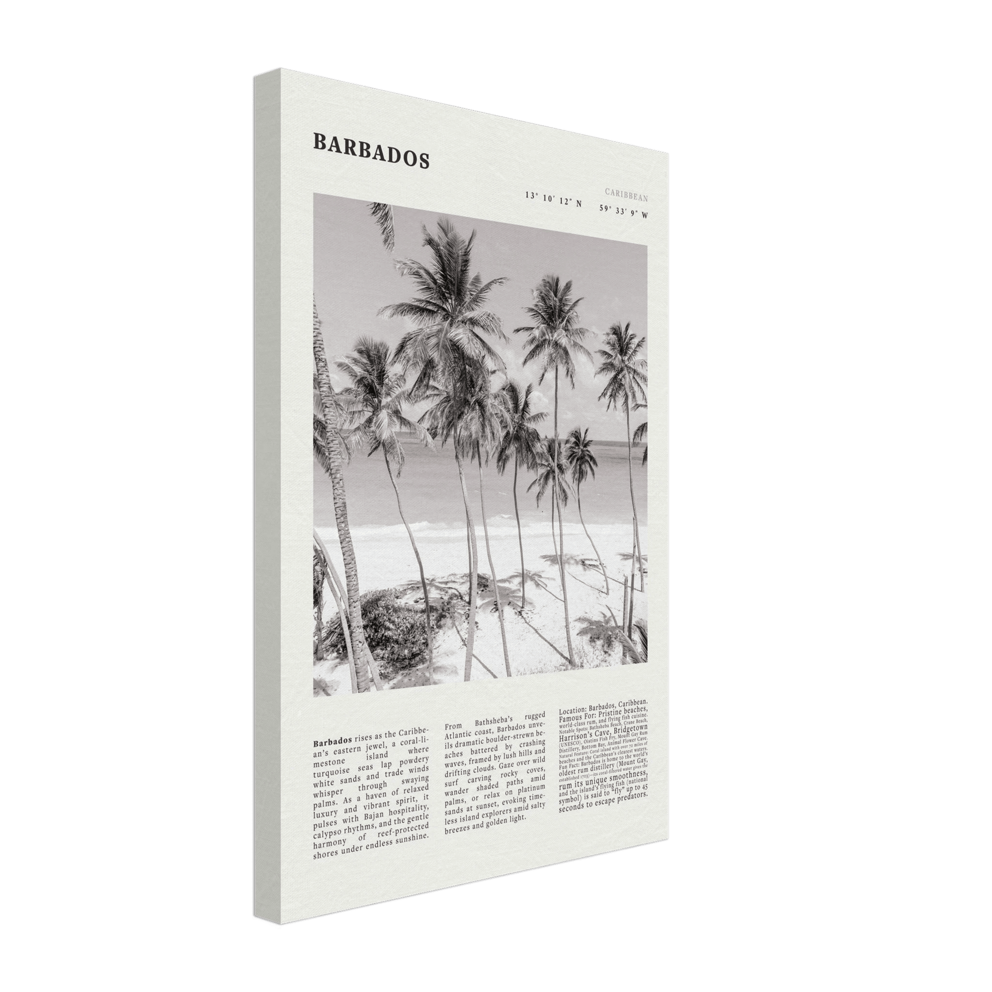Barbados Poster Black and White – Vintage Caribbean Palm Beach Print (Digital & Printed Options) - Evergreen Posters