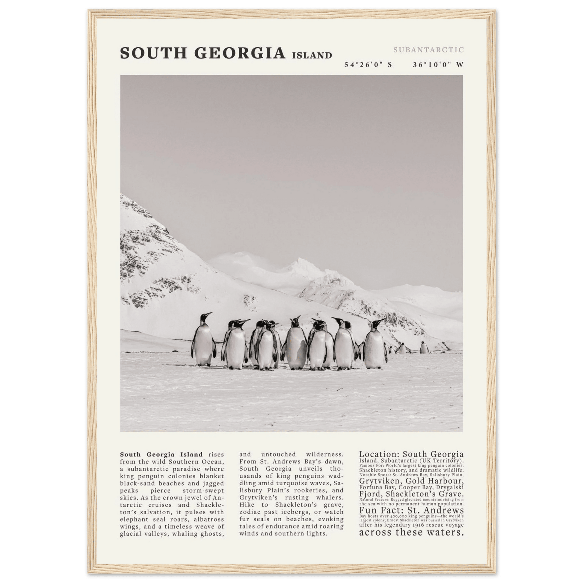 South Georgia Island Black and White Vintage Poster - Evergreen Posters