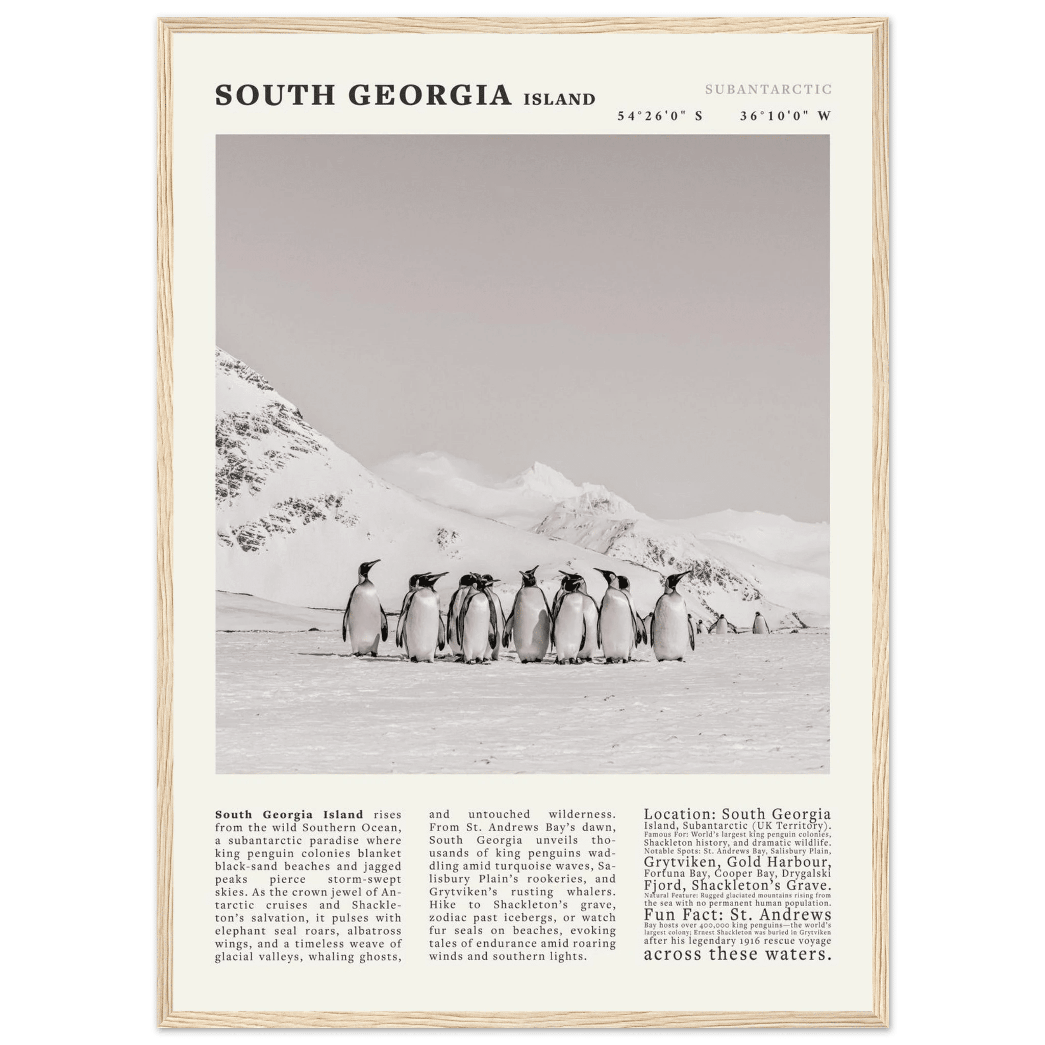 South Georgia Island Black and White Vintage Poster - Evergreen Posters