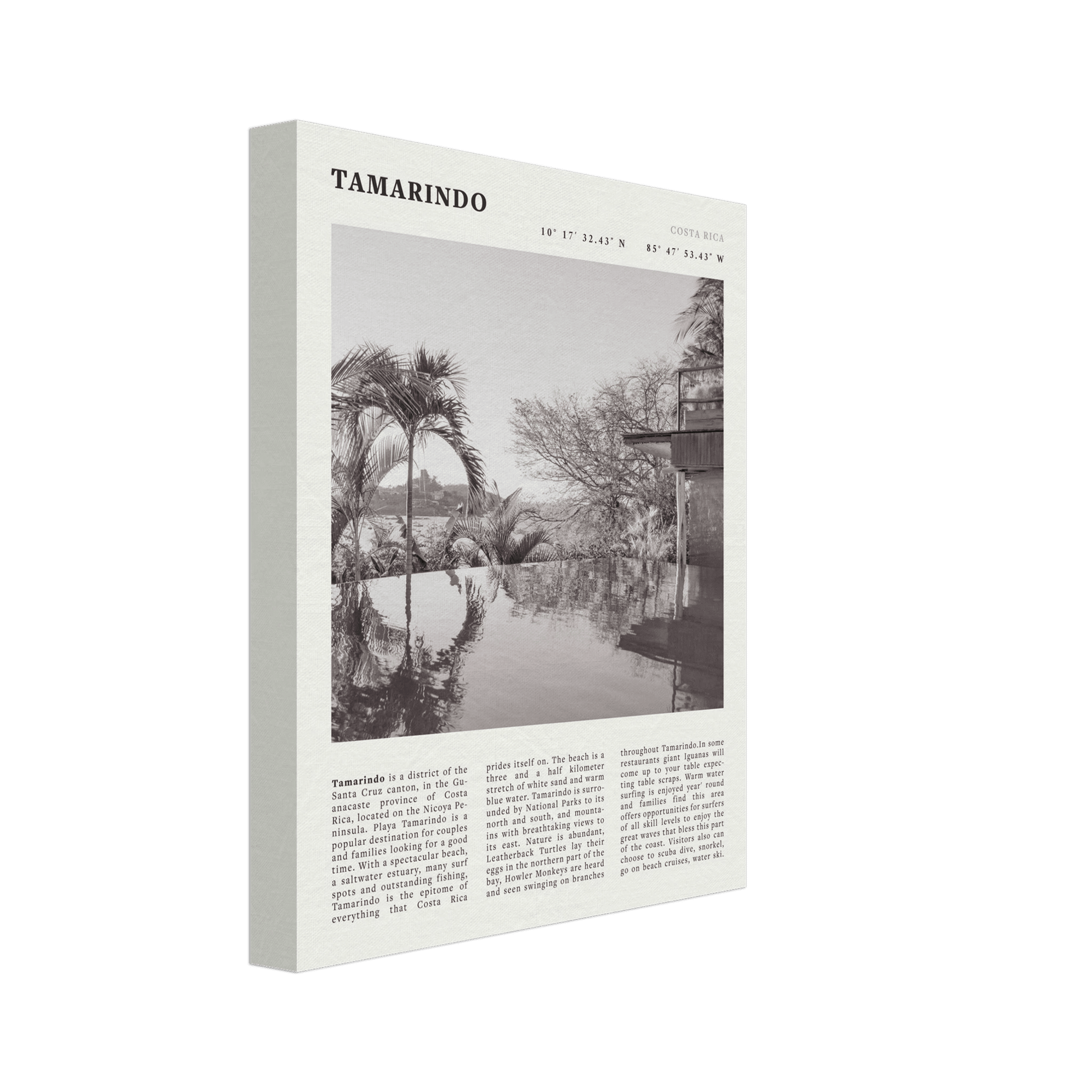 Tamarindo Poster | Black & White Costa Rica Beach Wall Art | Surf Travel Print - Evergreen Posters