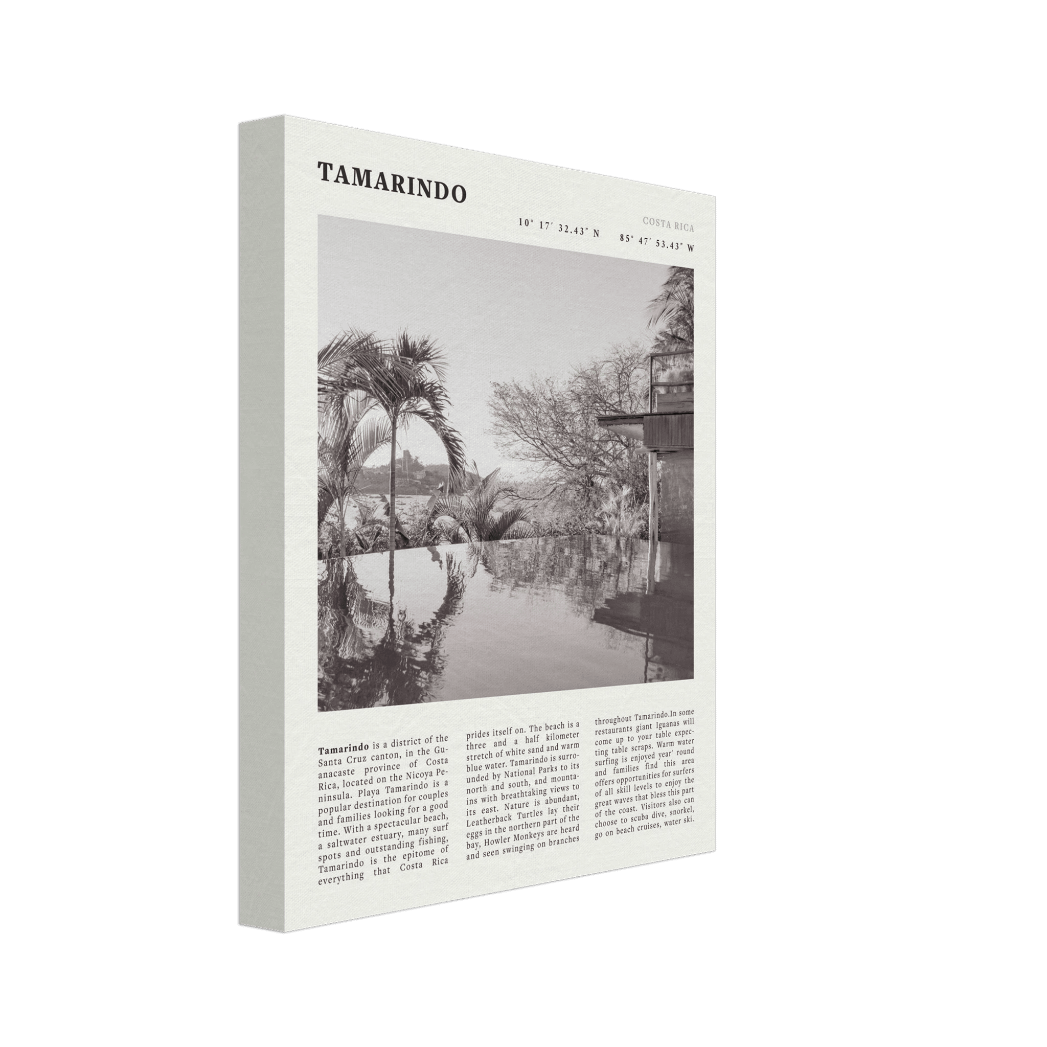Tamarindo Poster | Black & White Costa Rica Beach Wall Art | Surf Travel Print - Evergreen Posters