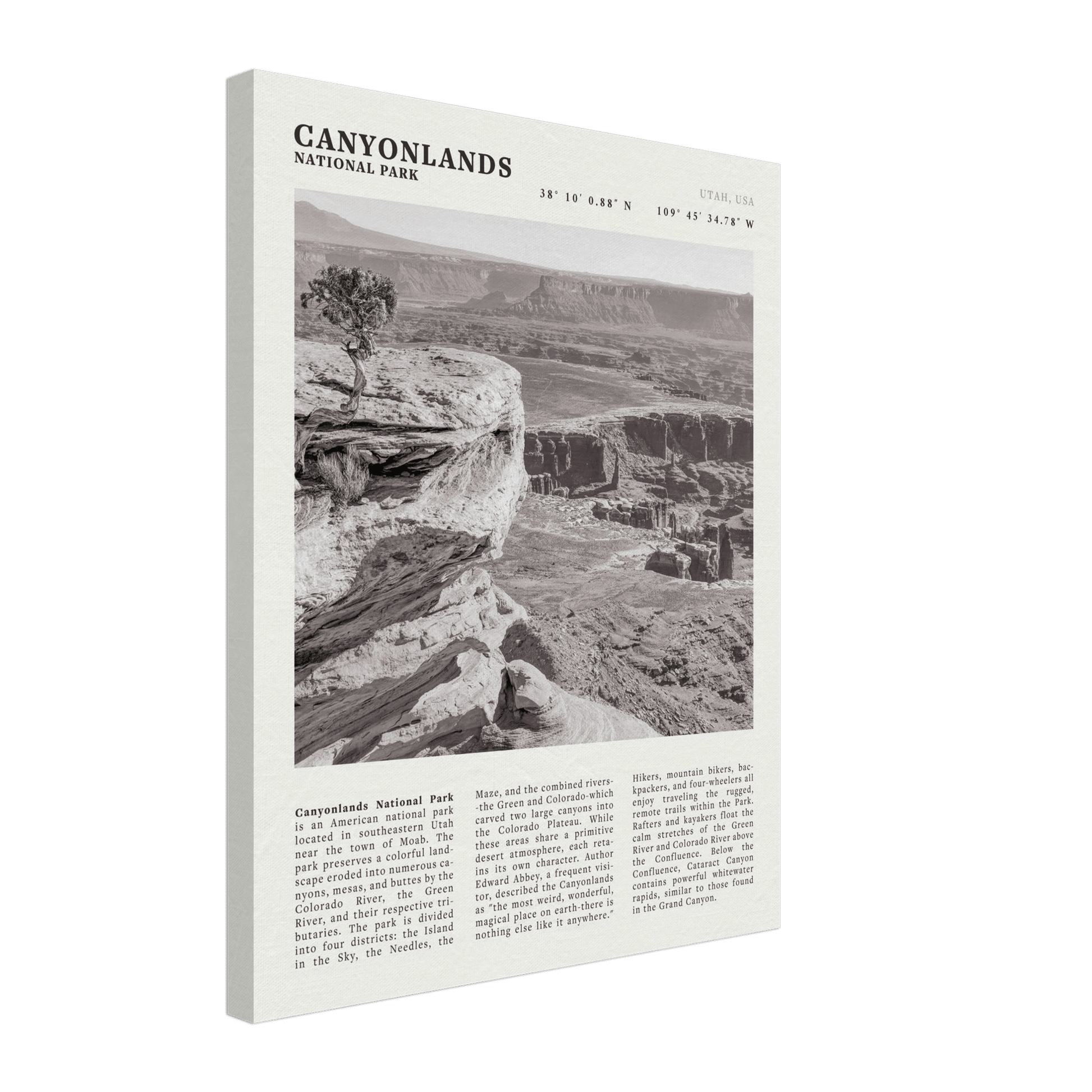 Canyonlands National Park Poster | Black & White Utah Wall Art | Canyon Travel Print - Evergreen Posters