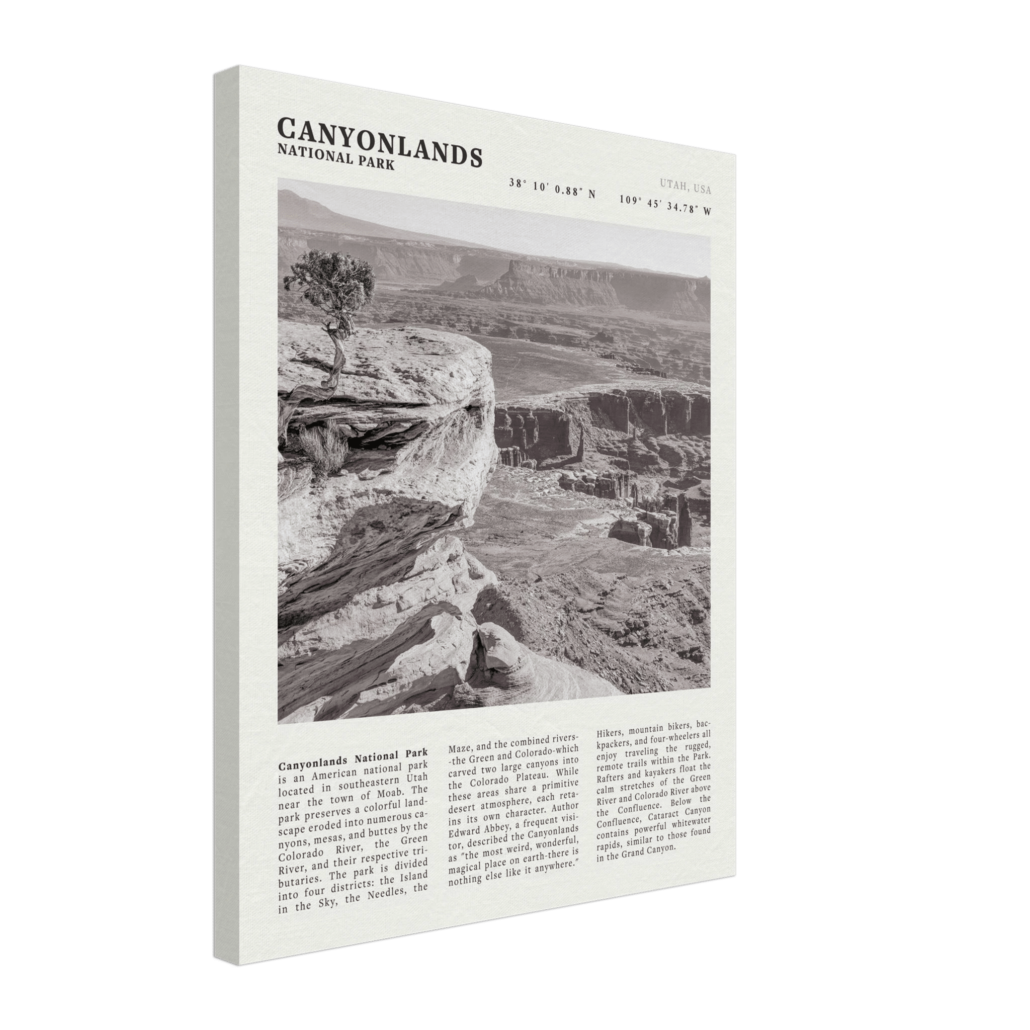 Canyonlands National Park Poster | Black & White Utah Wall Art | Canyon Travel Print - Evergreen Posters