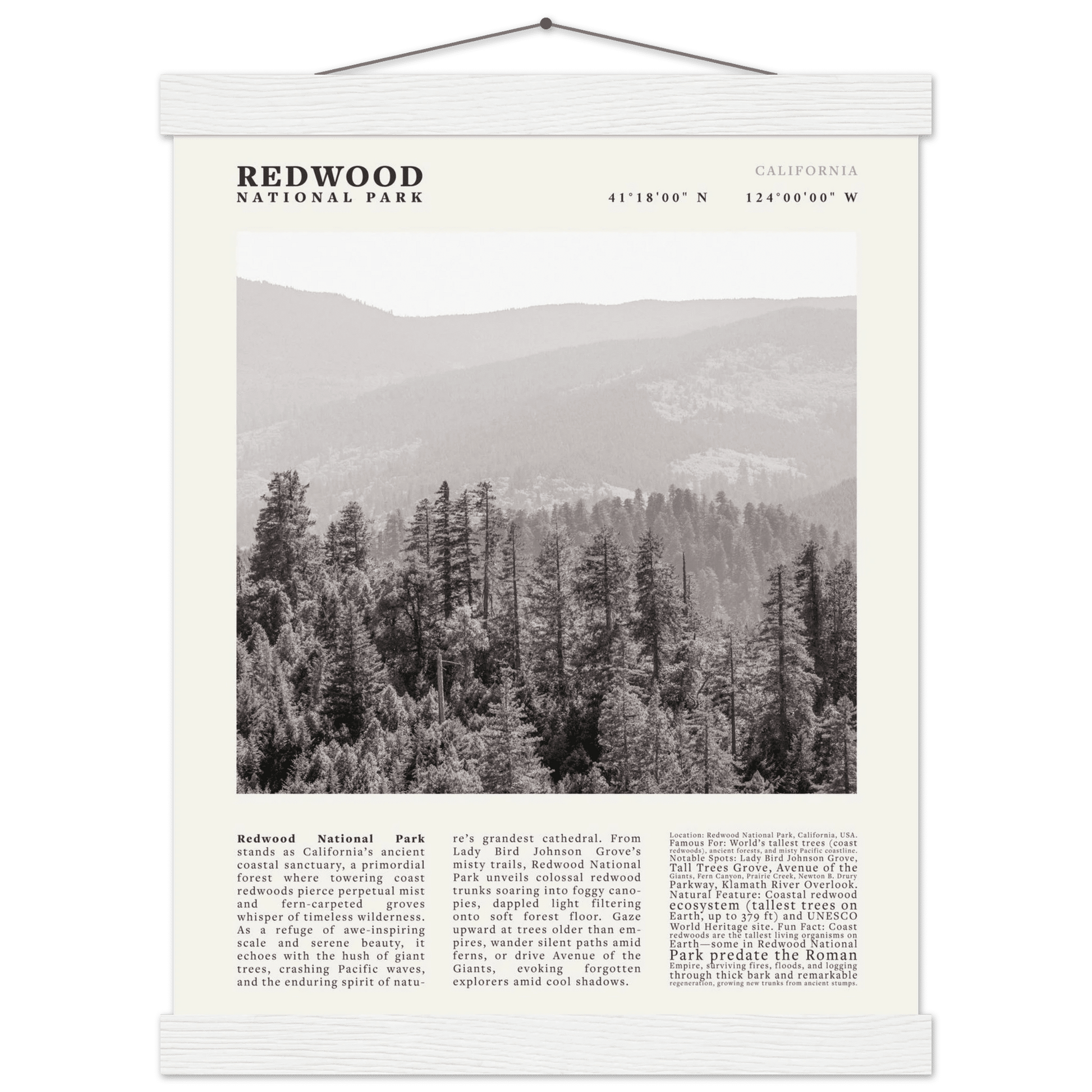 Redwood National Park Poster Black and White – Vintage Foggy Redwood Forest Print - Evergreen Posters