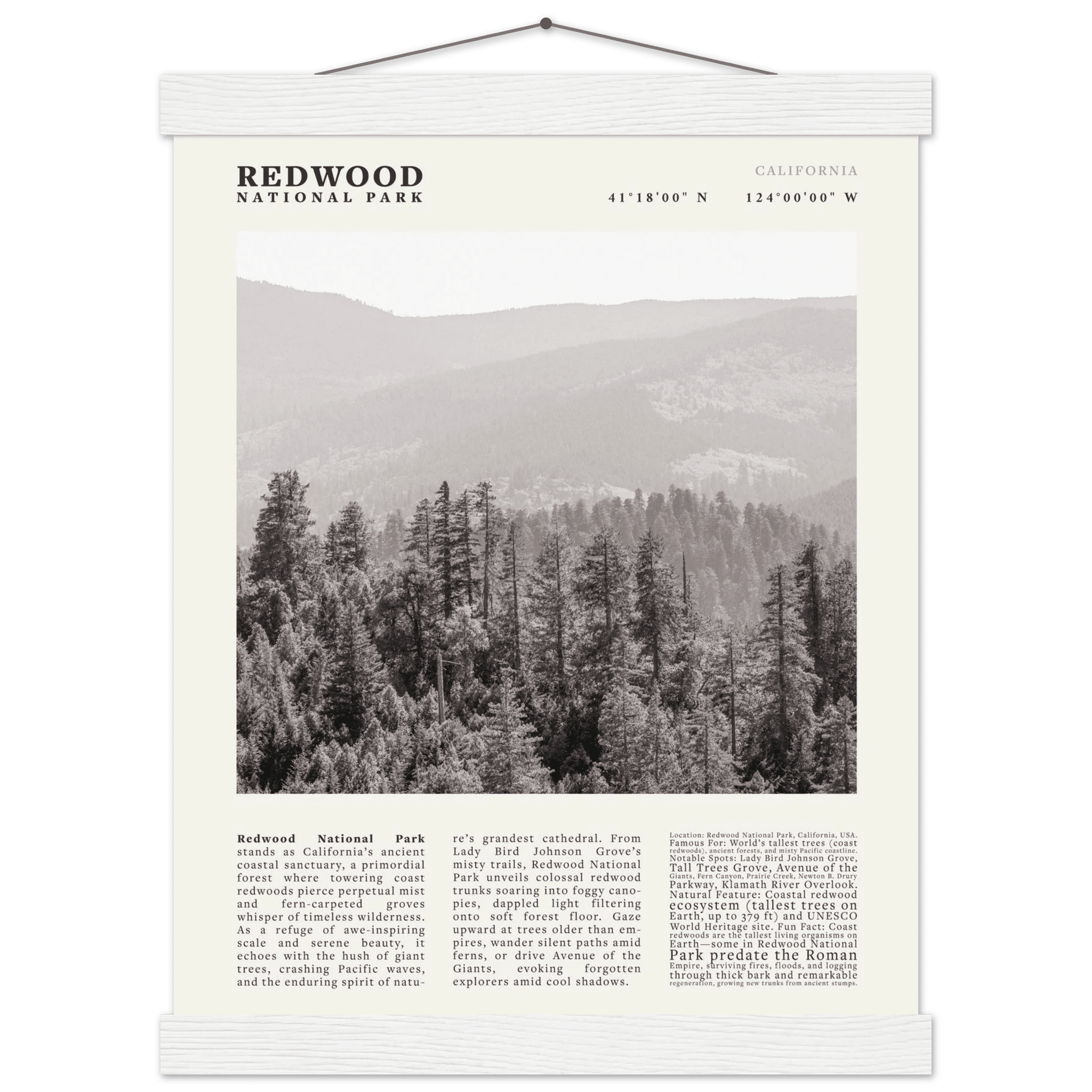 Redwood National Park Poster Black and White – Vintage Foggy Redwood Forest Print - Evergreen Posters