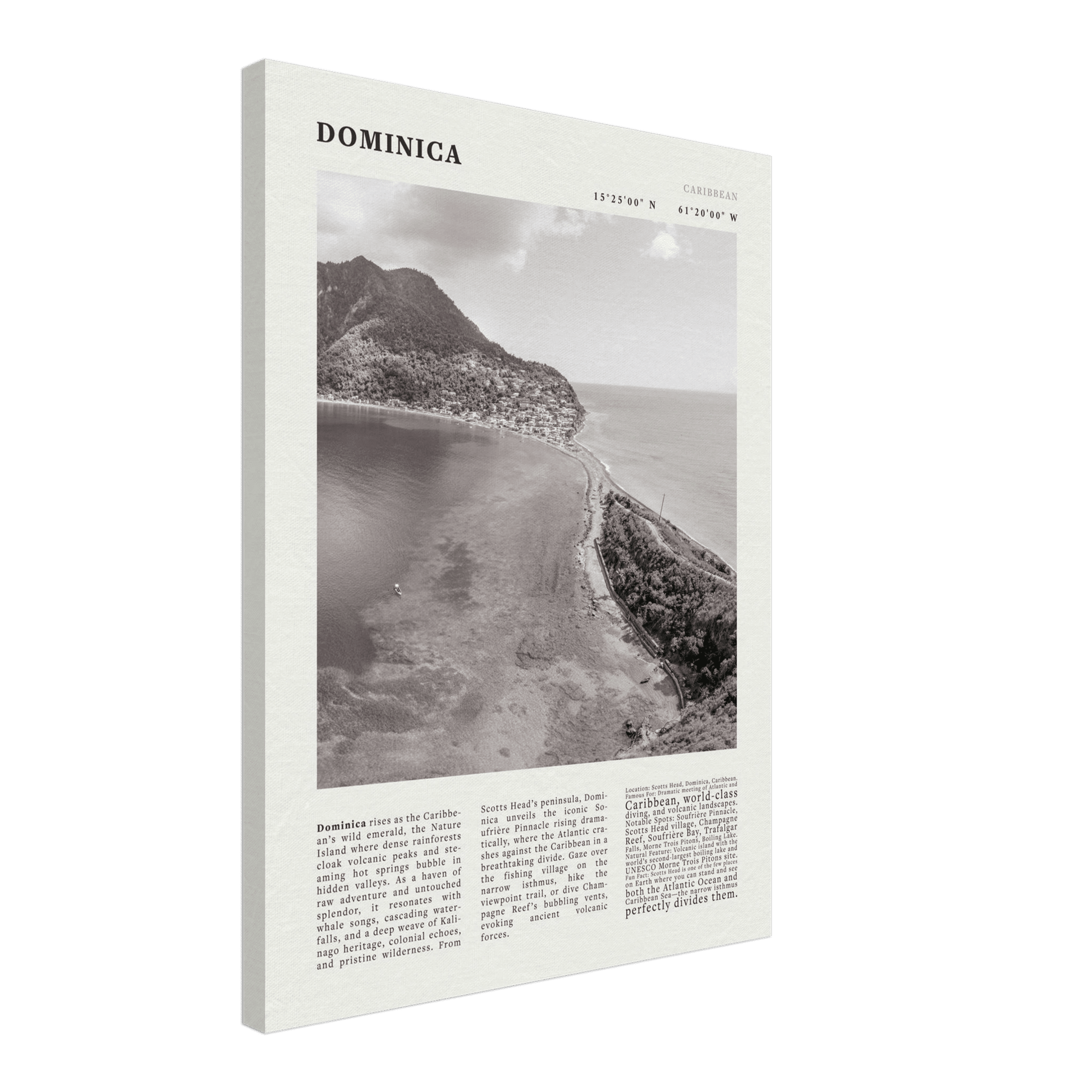 Dominica Poster Black and White – Vintage Caribbean Rainforest Island Print (Digital & Printed Options) - Evergreen Posters