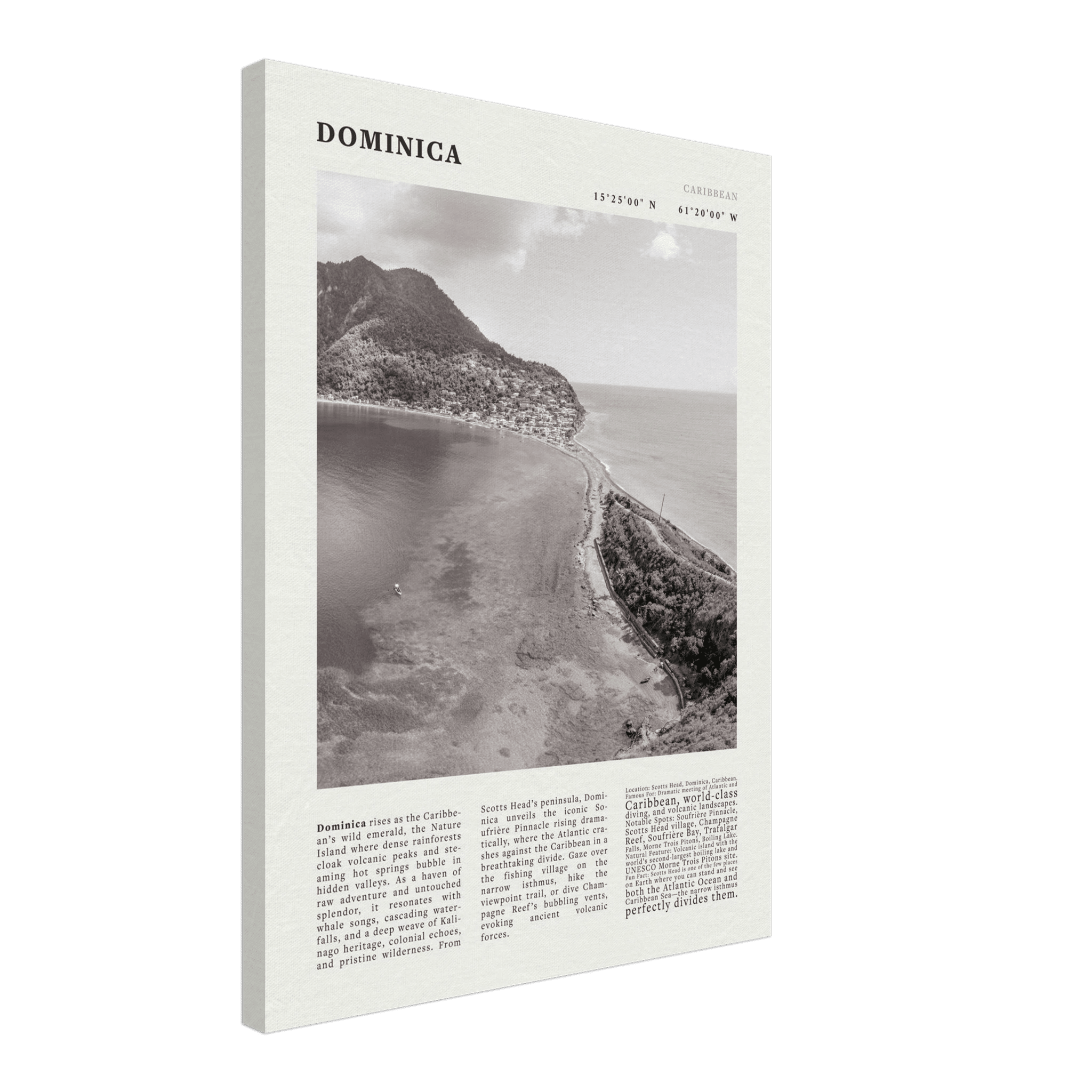 Dominica Poster Black and White – Vintage Caribbean Rainforest Island Print (Digital & Printed Options) - Evergreen Posters