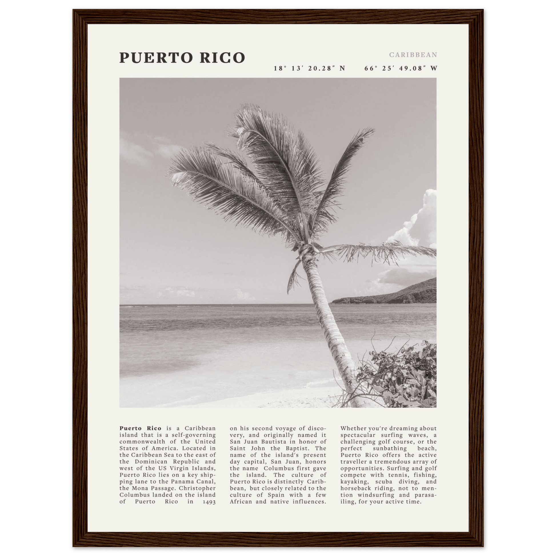 Puerto Rico Poster Black and White – Vintage Caribbean Palm Beach Print (Digital & Printed Options) - Evergreen Posters