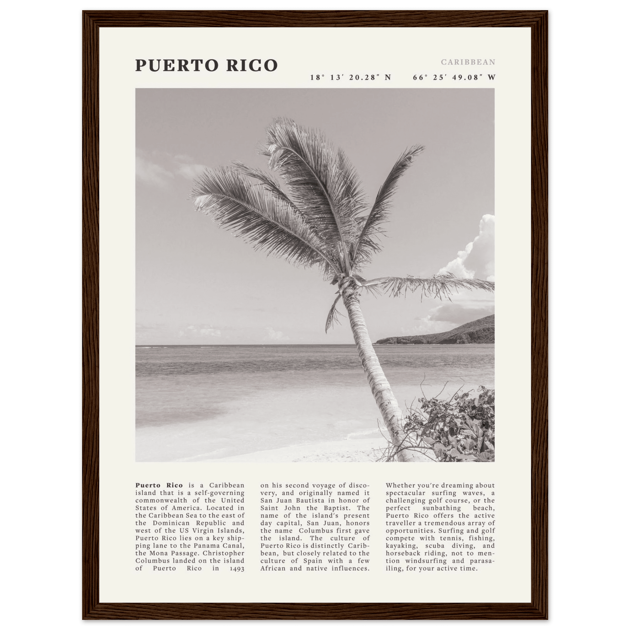 Puerto Rico Poster Black and White – Vintage Caribbean Palm Beach Print (Digital & Printed Options) - Evergreen Posters