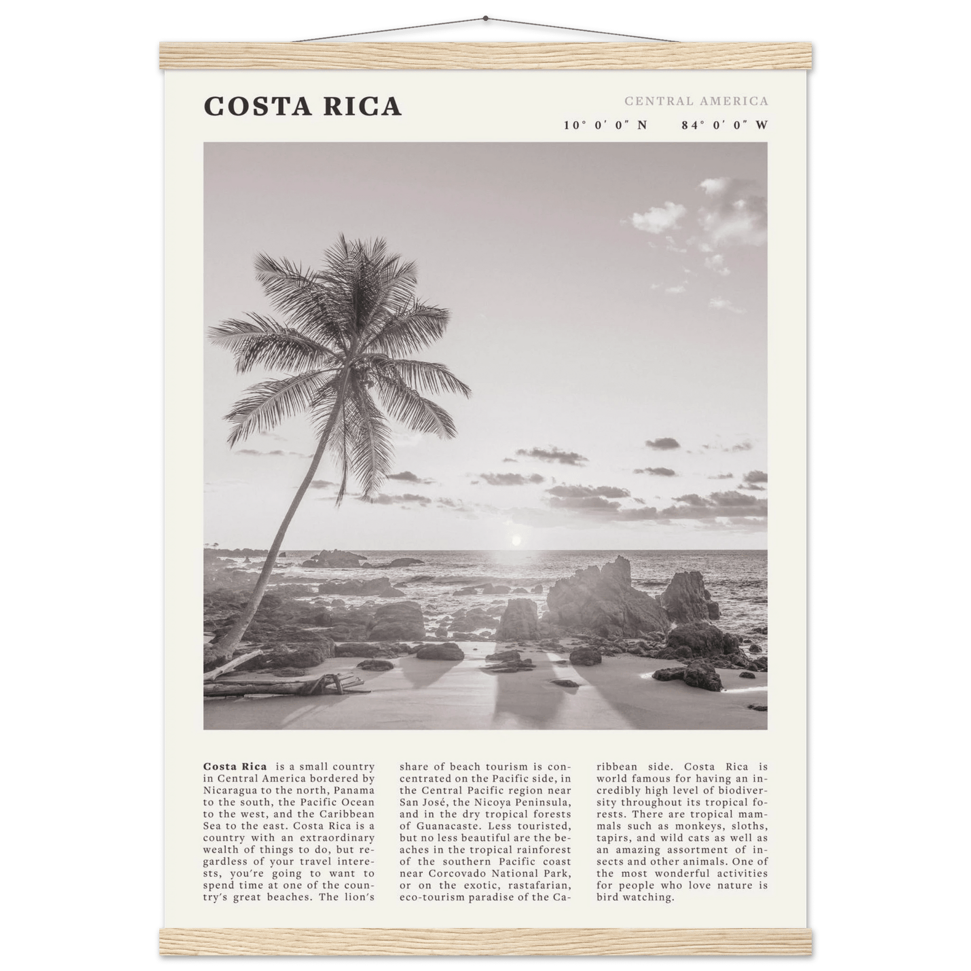 Costa Rica Poster | Black & White Palm Tree Beach Wall Art | Travel Print Decor - Evergreen Posters
