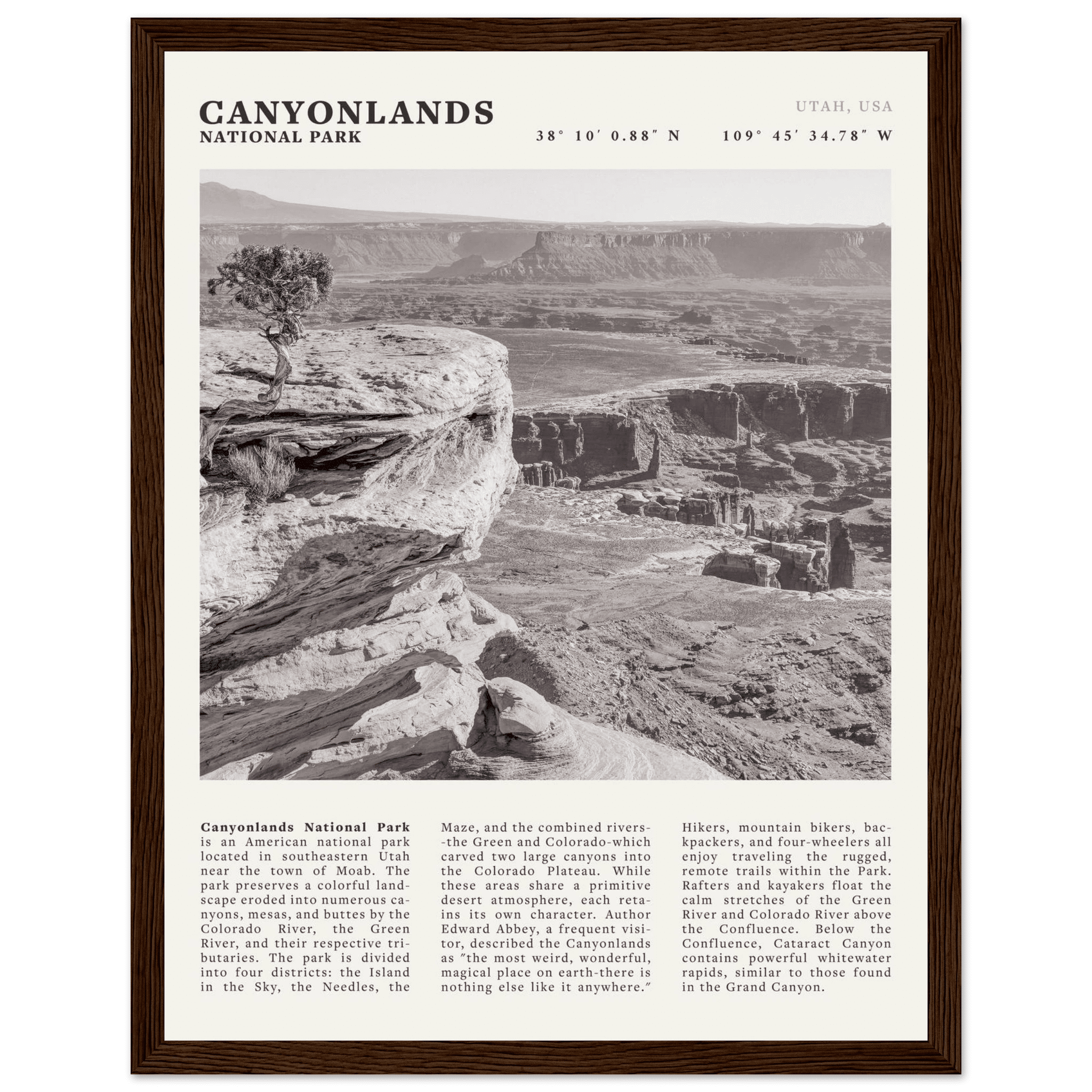 Canyonlands National Park Poster | Black & White Utah Wall Art | Canyon Travel Print - Evergreen Posters