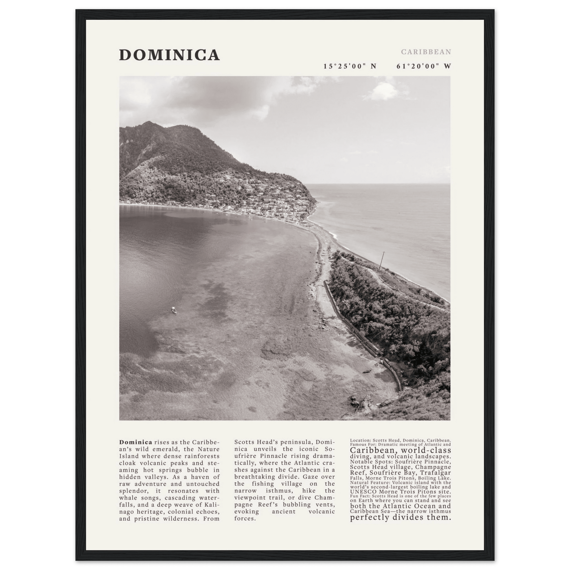 Dominica Poster Black and White – Vintage Caribbean Rainforest Island Print (Digital & Printed Options) - Evergreen Posters