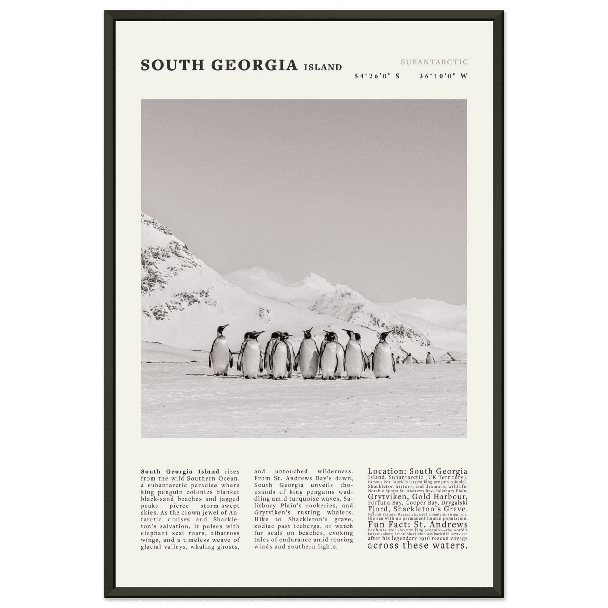South Georgia Island Black and White Vintage Poster - Evergreen Posters