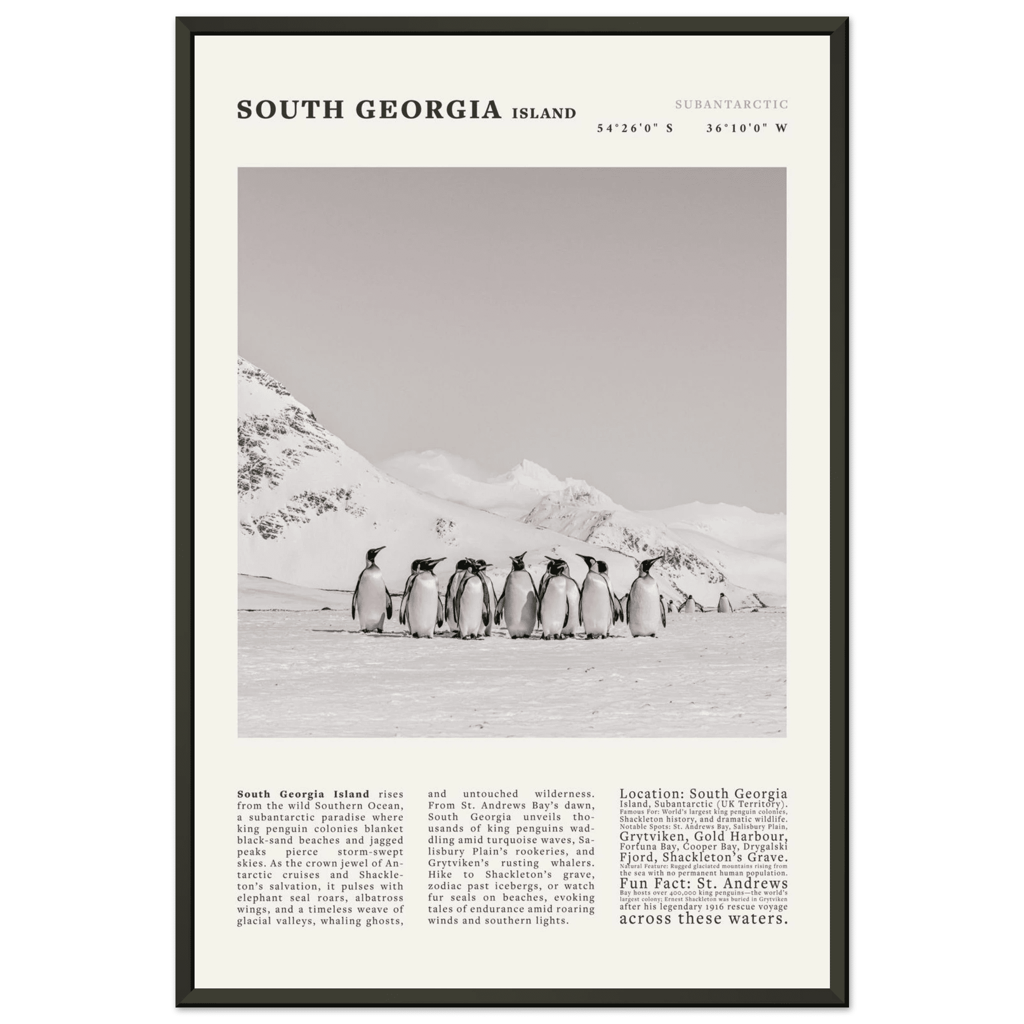 South Georgia Island Black and White Vintage Poster - Evergreen Posters