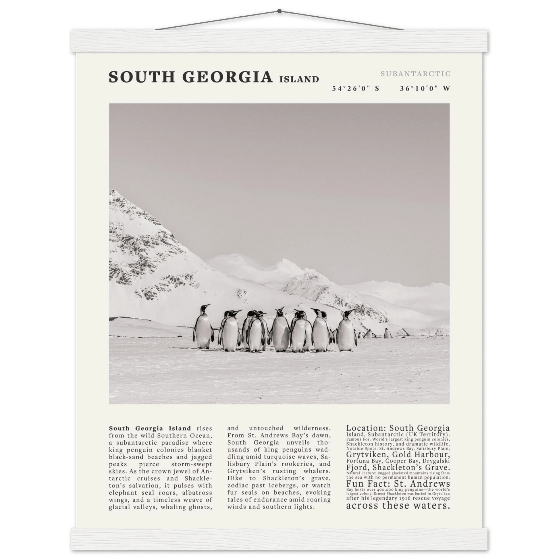 South Georgia Island Black and White Vintage Poster - Evergreen Posters