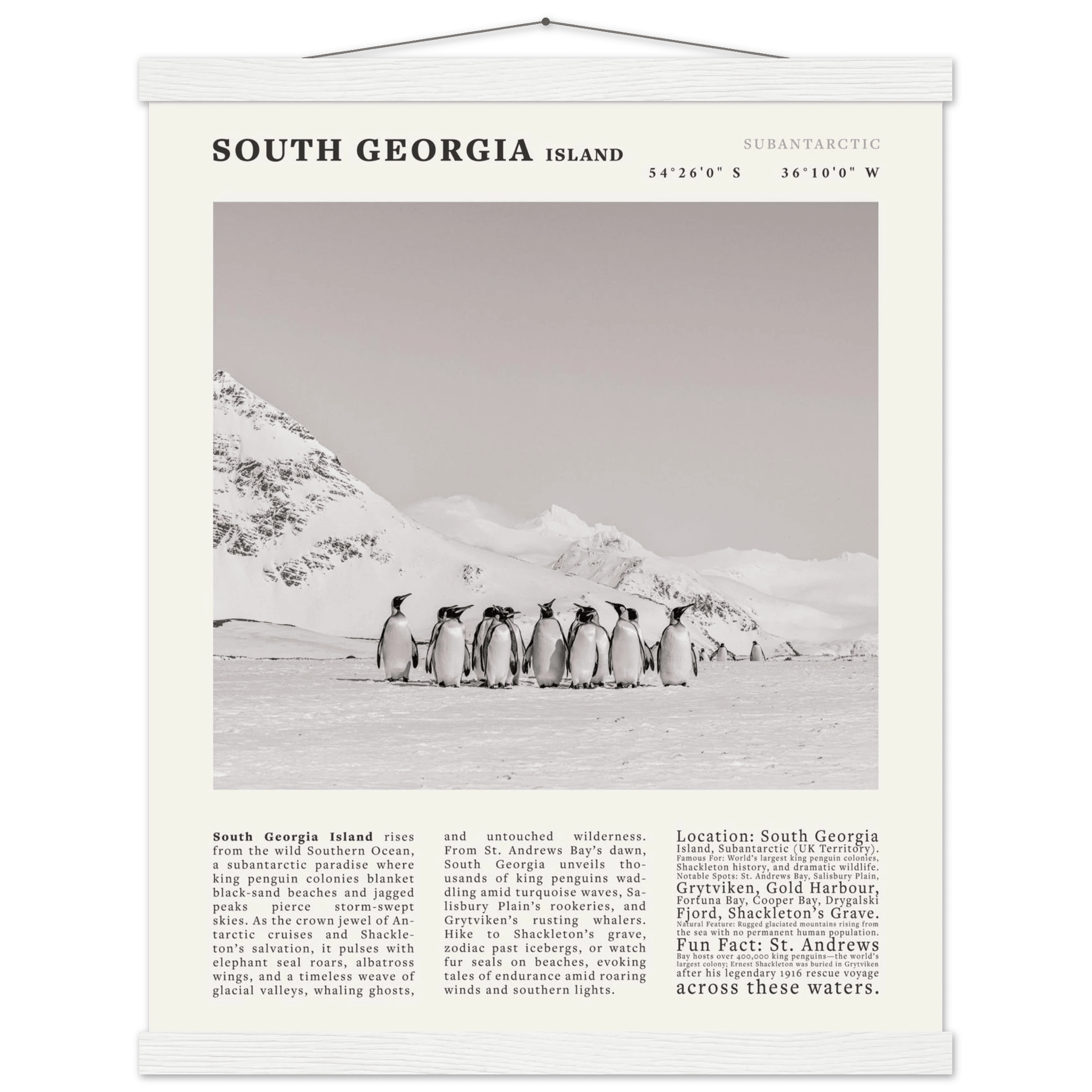 South Georgia Island Black and White Vintage Poster - Evergreen Posters