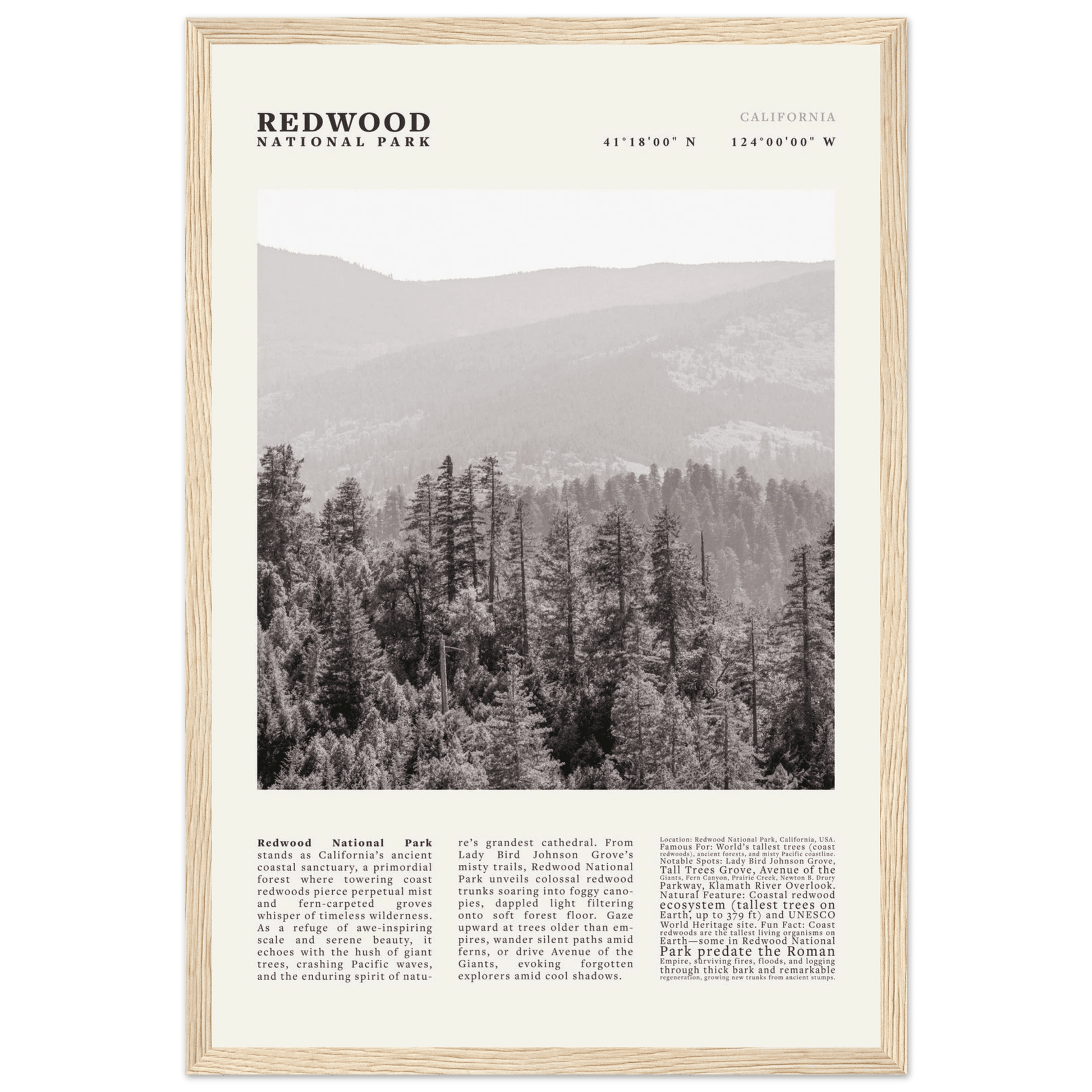 Redwood National Park Poster Black and White – Vintage Foggy Redwood Forest Print - Evergreen Posters