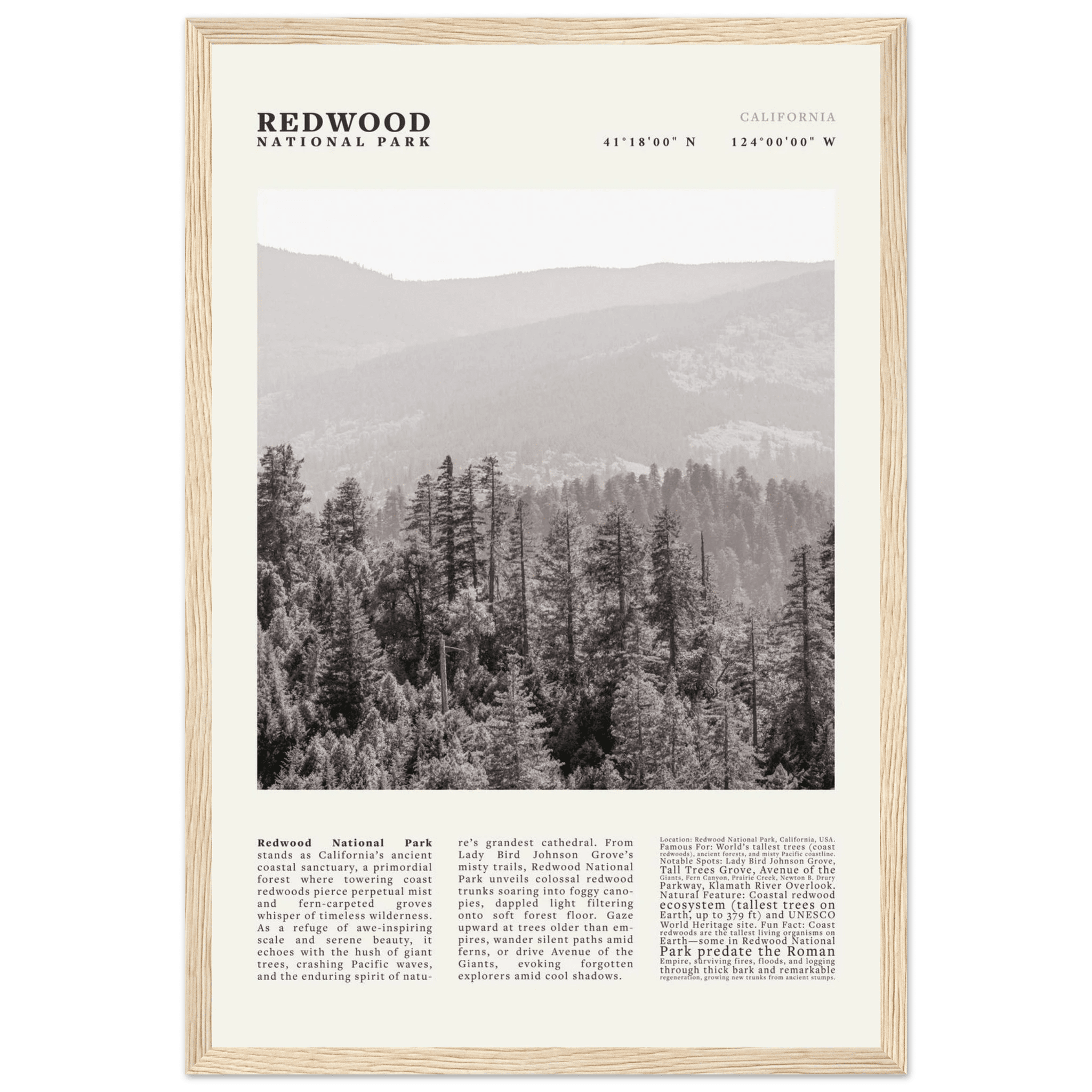 Redwood National Park Poster Black and White – Vintage Foggy Redwood Forest Print - Evergreen Posters
