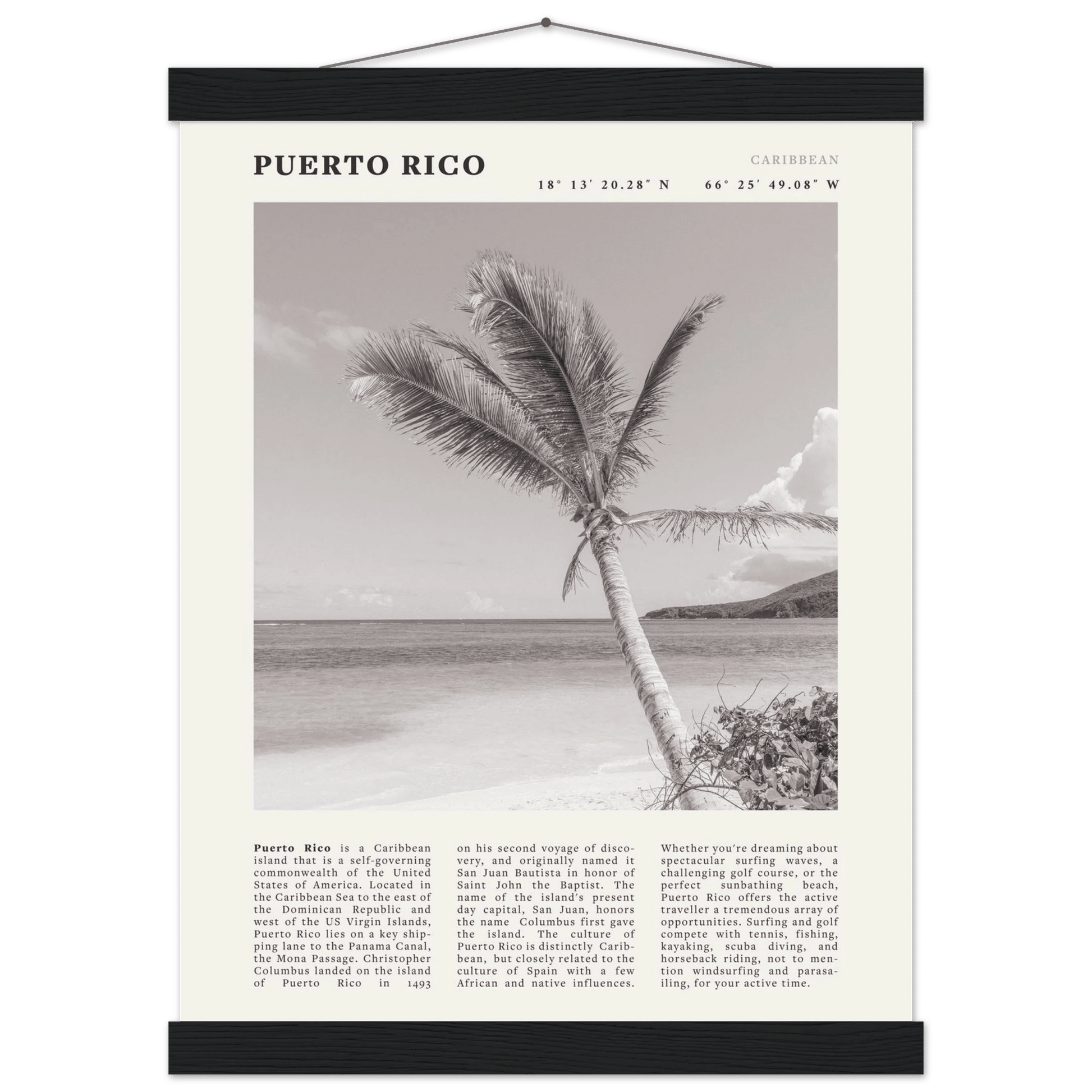 Puerto Rico Poster Black and White – Vintage Caribbean Palm Beach Print (Digital & Printed Options) - Evergreen Posters