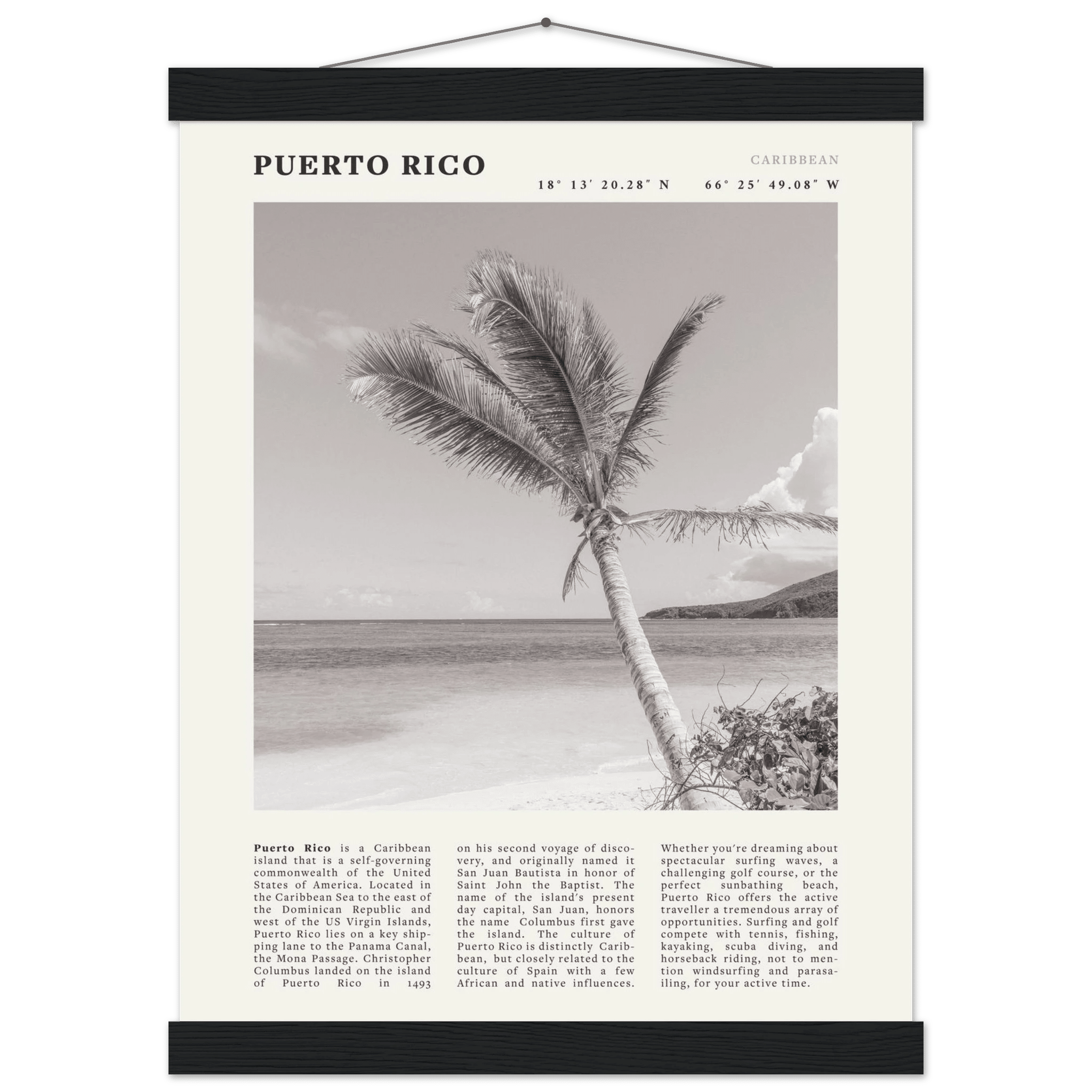 Puerto Rico Poster Black and White – Vintage Caribbean Palm Beach Print (Digital & Printed Options) - Evergreen Posters