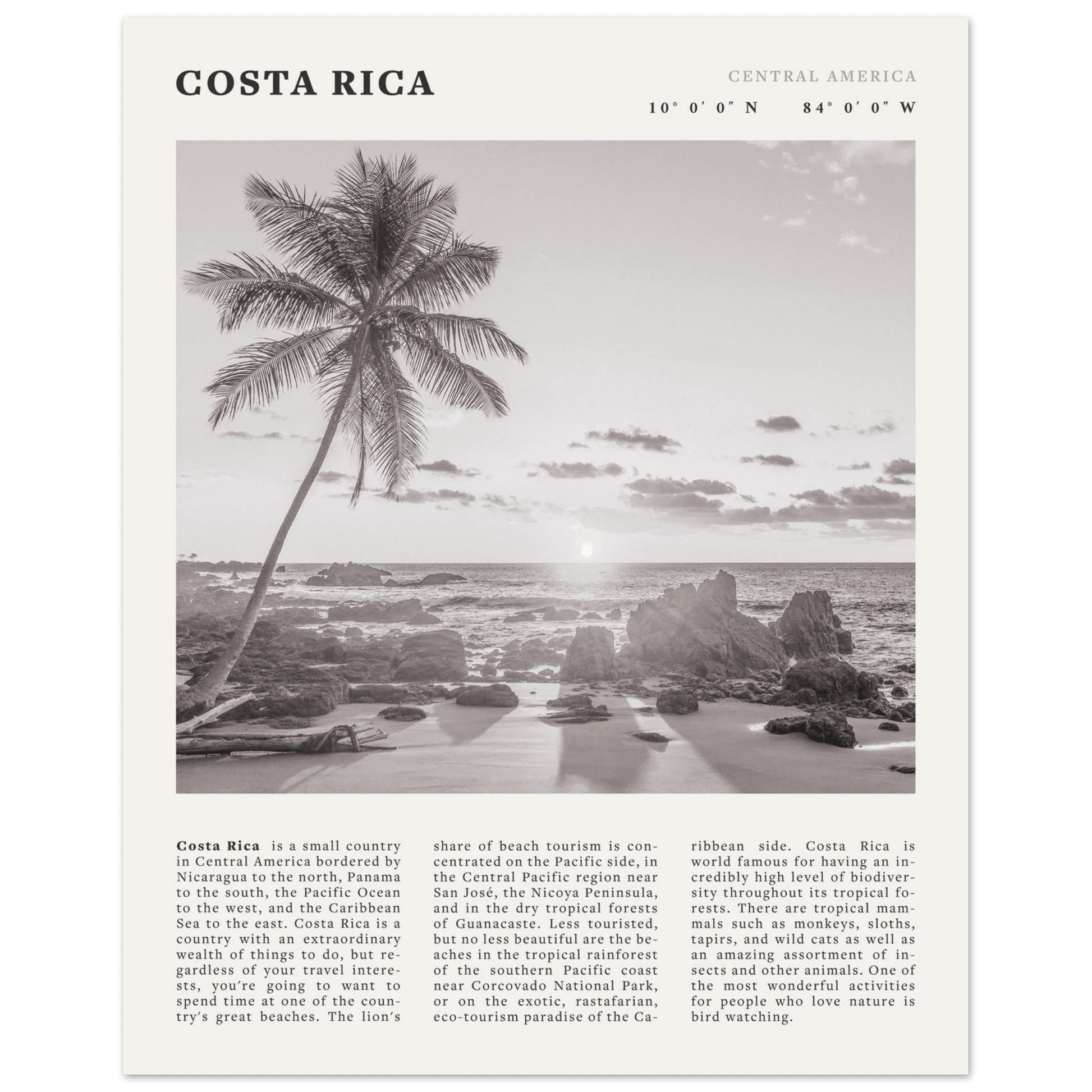 Costa Rica Poster | Black & White Palm Tree Beach Wall Art | Travel Print Decor - Evergreen Posters