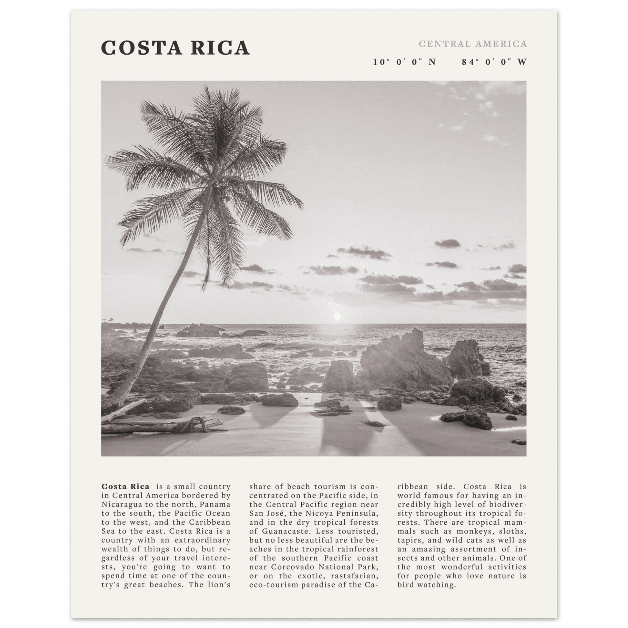 Costa Rica Poster | Black & White Palm Tree Beach Wall Art | Travel Print Decor - Evergreen Posters