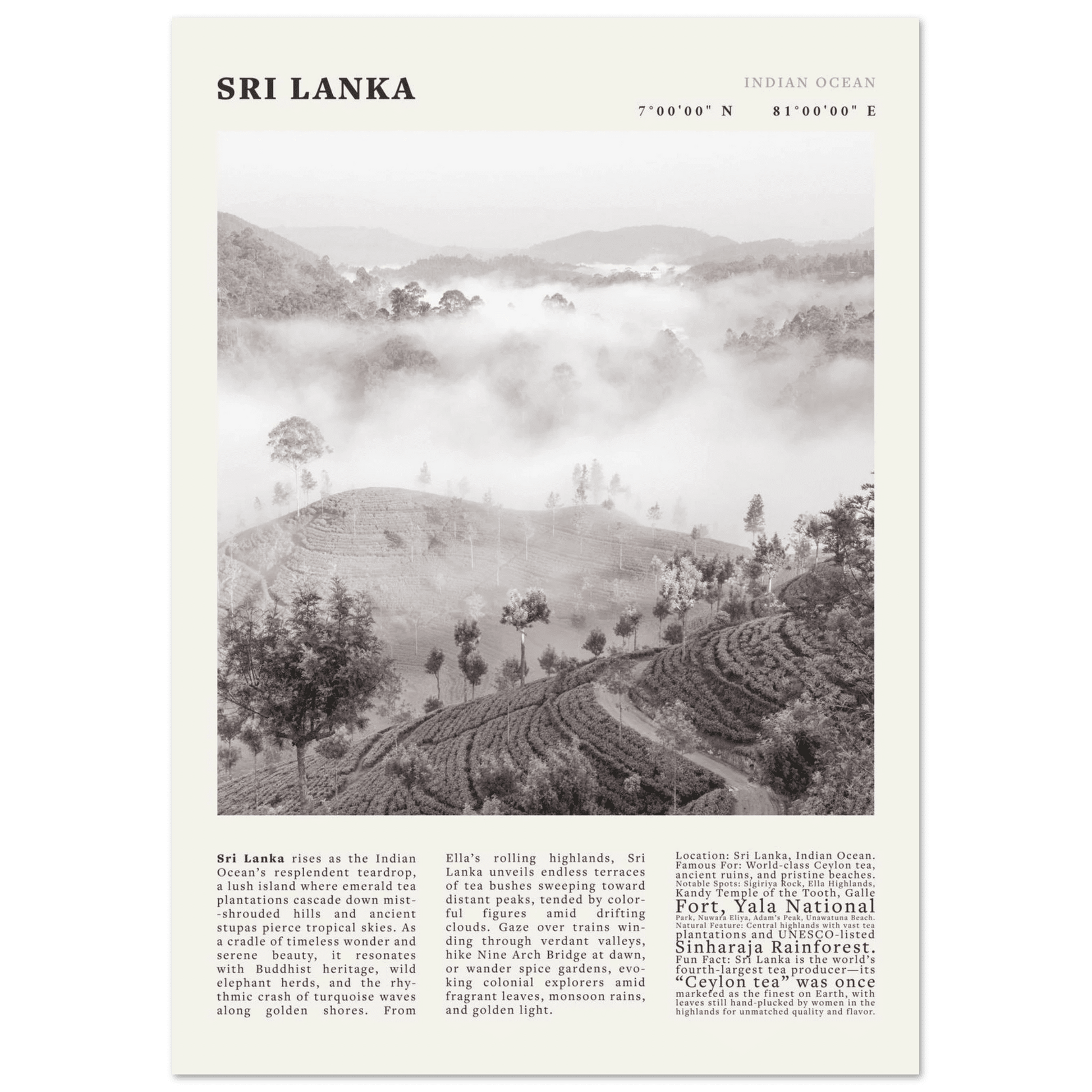 Sri Lanka Poster Black and White – Vintage Ceylon Tea Plantation Print (Digital & Printed Options) - Evergreen Posters