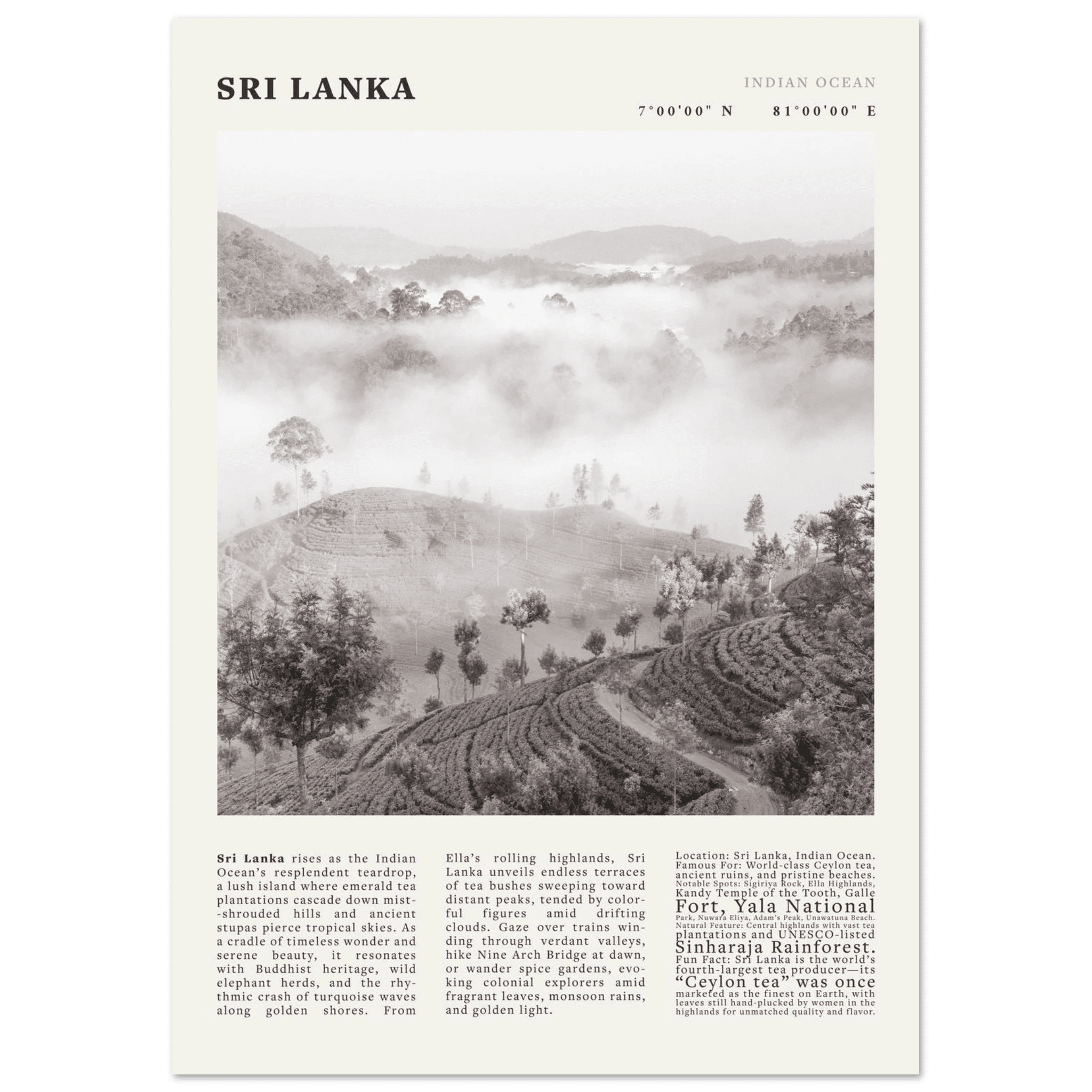 Sri Lanka Poster Black and White – Vintage Ceylon Tea Plantation Print (Digital & Printed Options) - Evergreen Posters