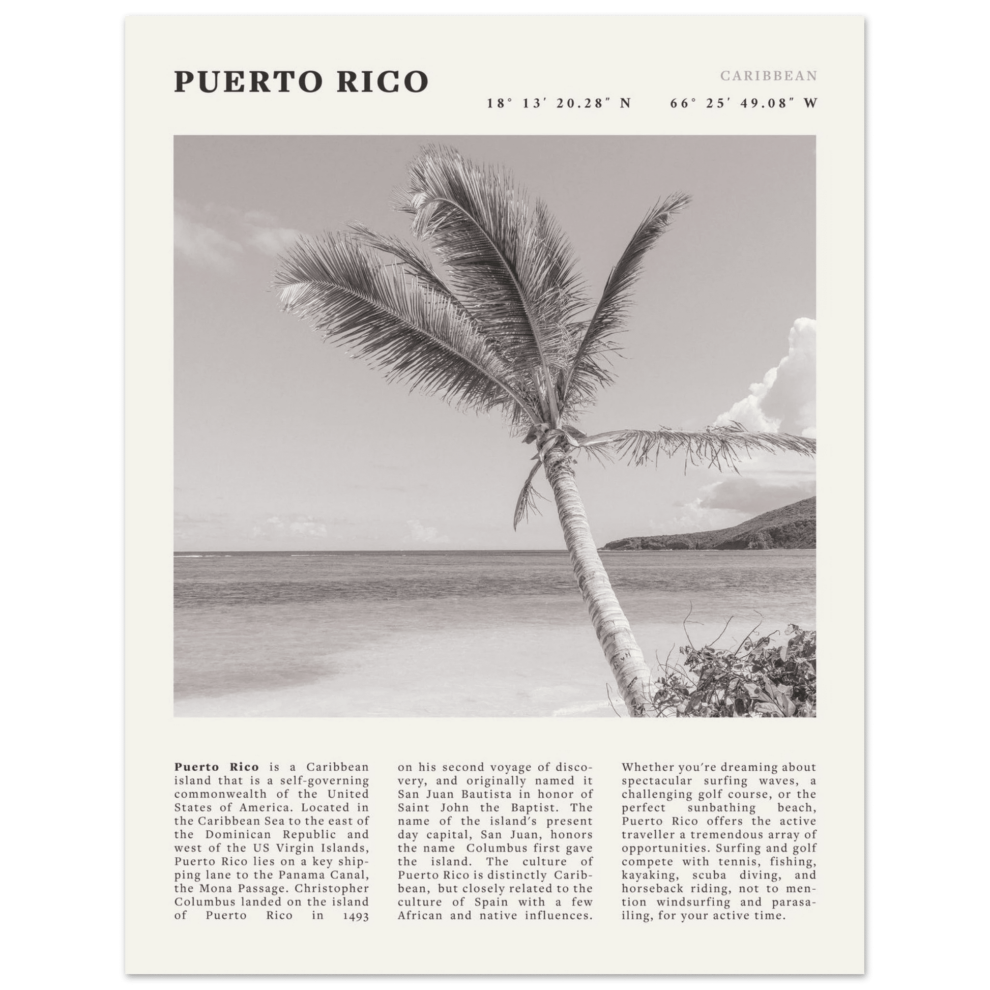 Puerto Rico Poster Black and White – Vintage Caribbean Palm Beach Print (Digital & Printed Options) - Evergreen Posters