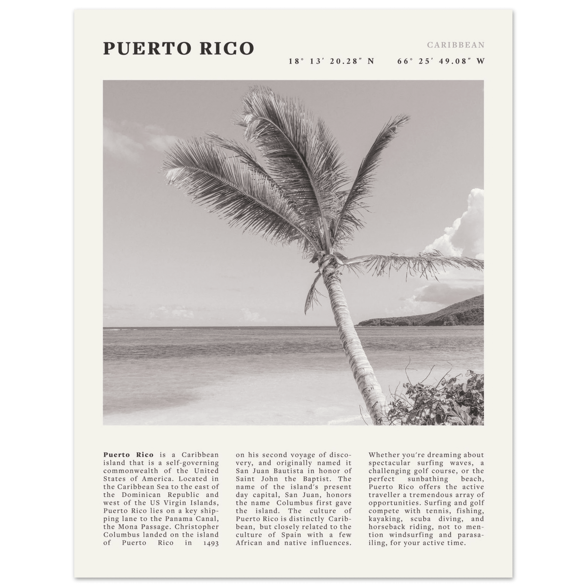 Puerto Rico Poster Black and White – Vintage Caribbean Palm Beach Print (Digital & Printed Options) - Evergreen Posters