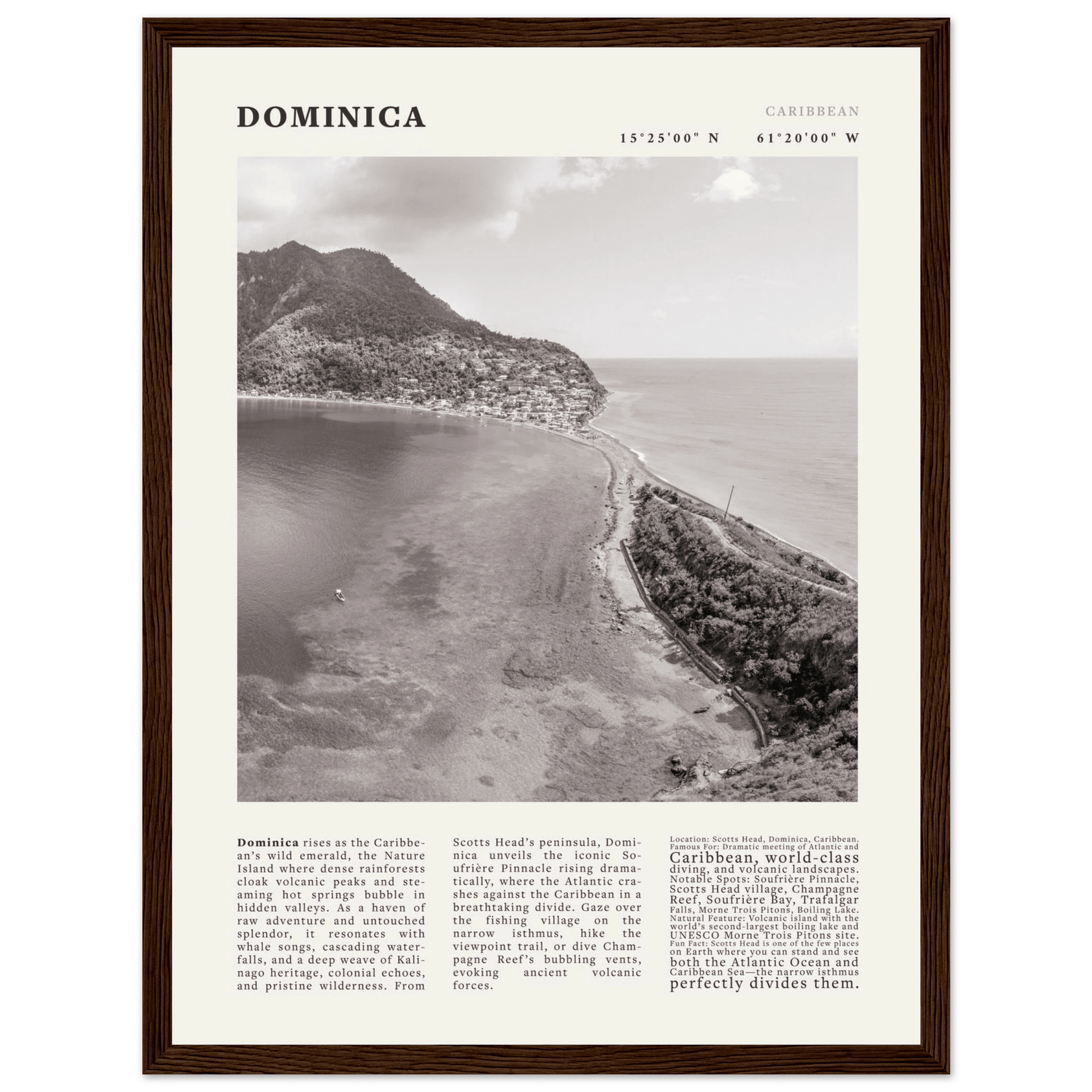 Dominica Poster Black and White – Vintage Caribbean Rainforest Island Print (Digital & Printed Options) - Evergreen Posters