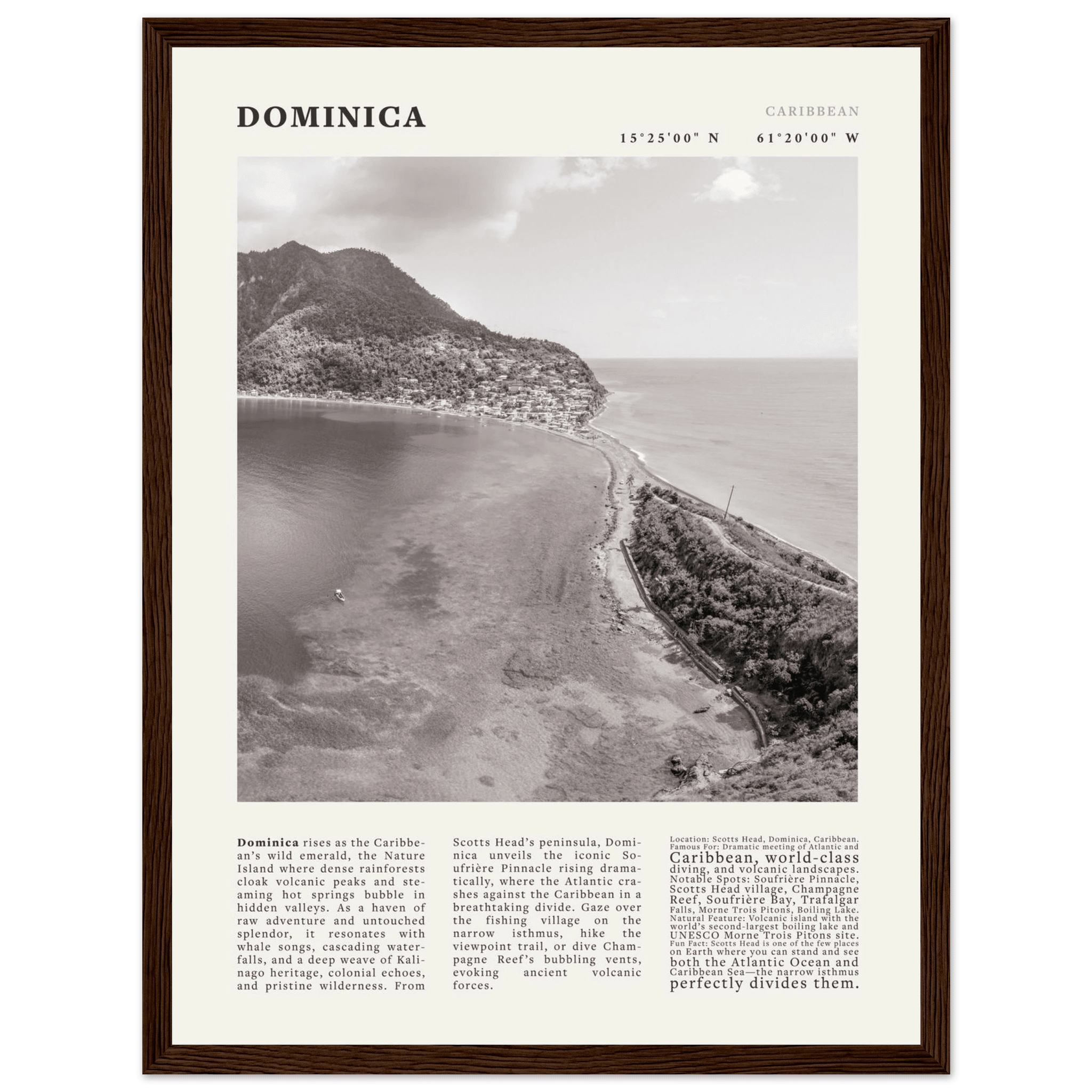 Dominica Poster Black and White – Vintage Caribbean Rainforest Island Print (Digital & Printed Options) - Evergreen Posters
