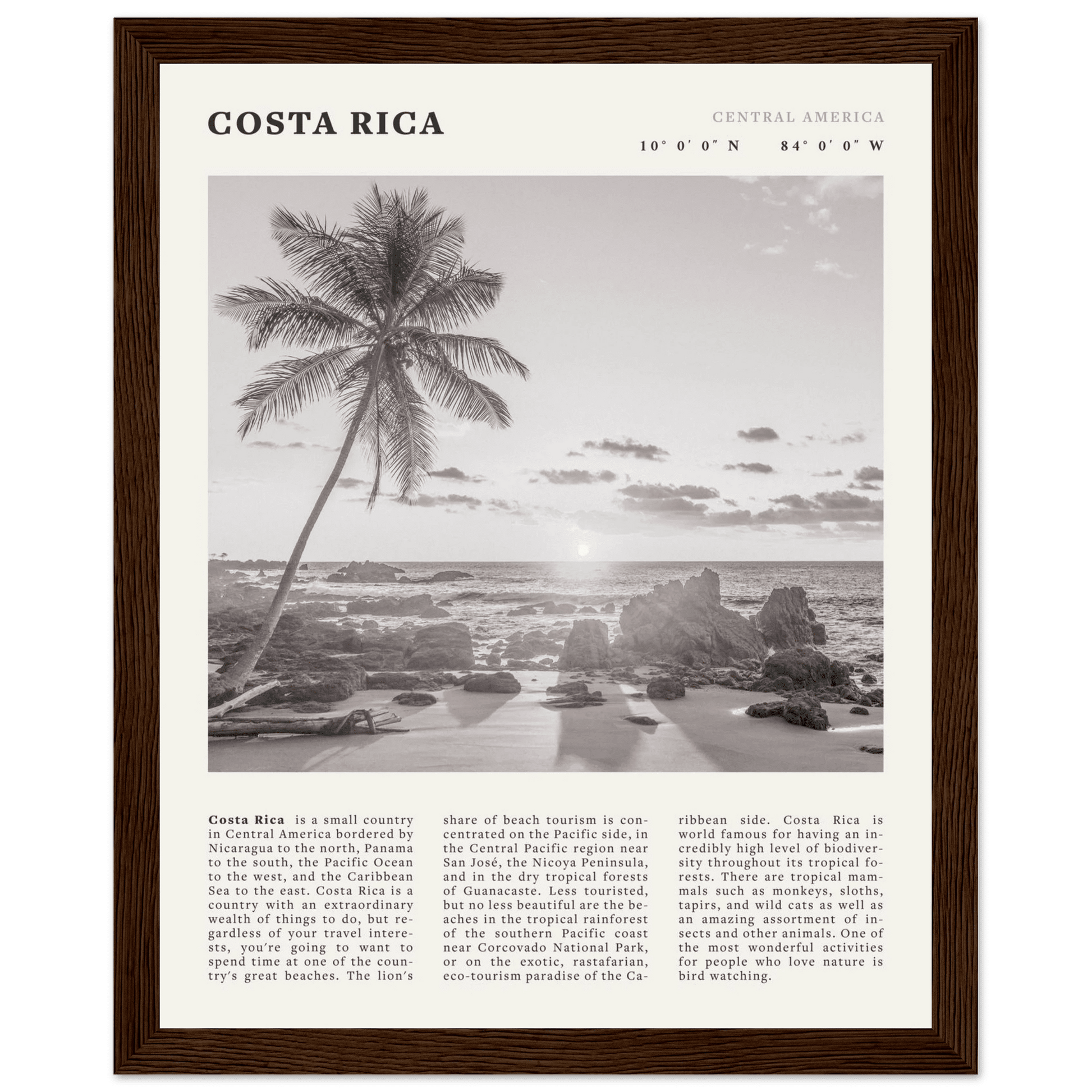 Costa Rica Poster | Black & White Palm Tree Beach Wall Art | Travel Print Decor - Evergreen Posters