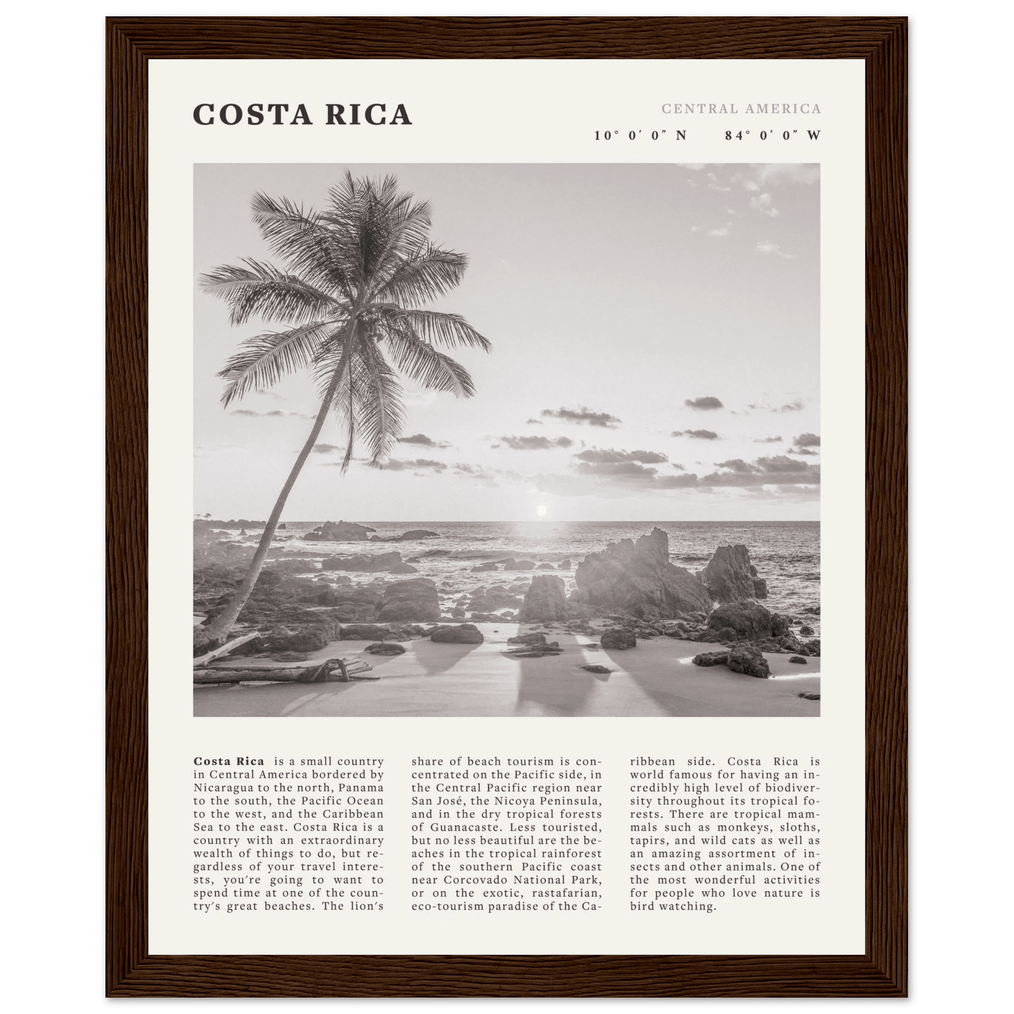 Costa Rica Poster | Black & White Palm Tree Beach Wall Art | Travel Print Decor - Evergreen Posters