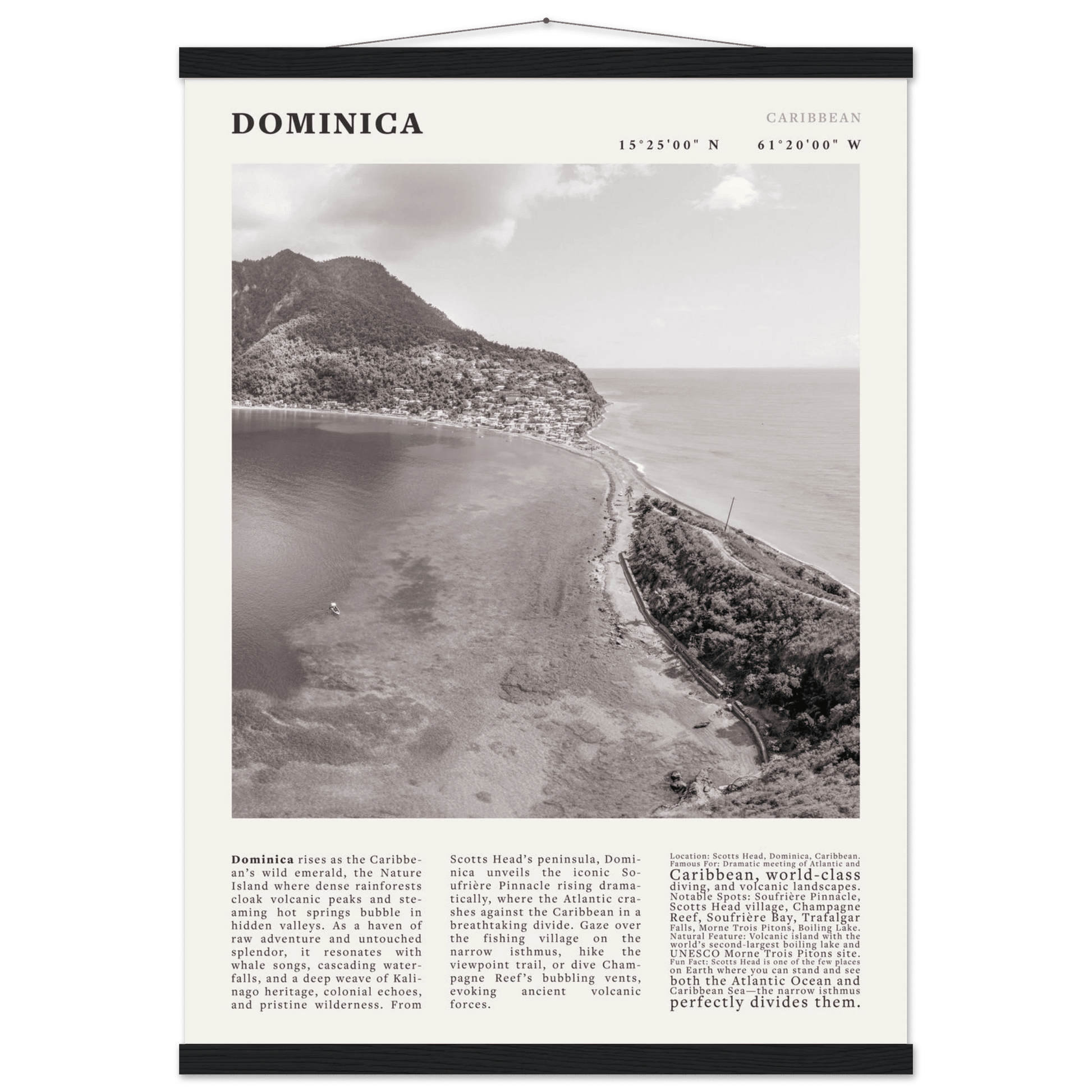 Dominica Poster Black and White – Vintage Caribbean Rainforest Island Print (Digital & Printed Options) - Evergreen Posters
