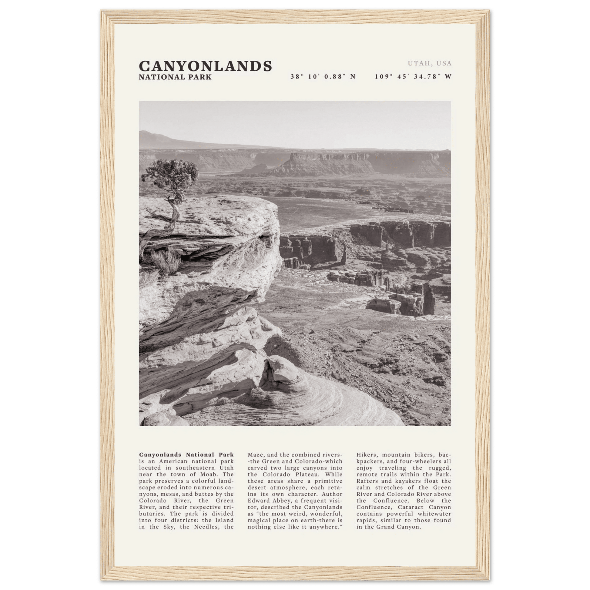 Canyonlands National Park Poster | Black & White Utah Wall Art | Canyon Travel Print - Evergreen Posters