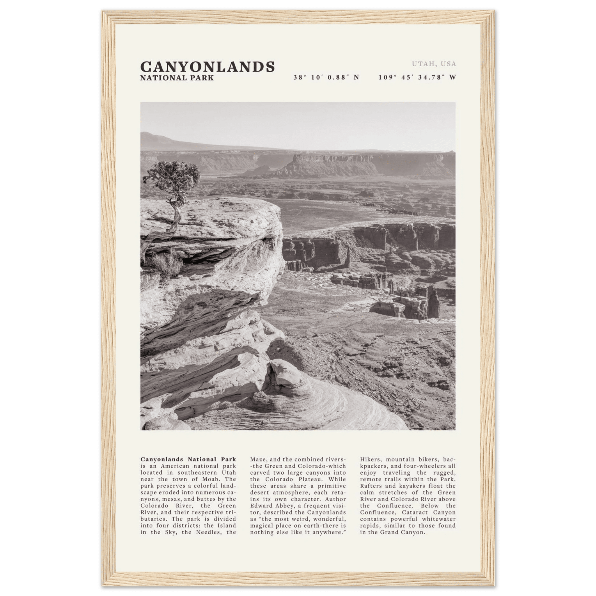 Canyonlands National Park Poster | Black & White Utah Wall Art | Canyon Travel Print - Evergreen Posters
