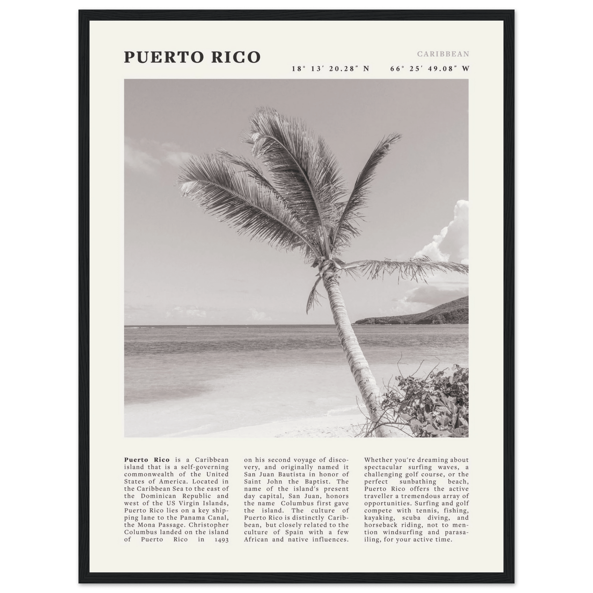 Puerto Rico Poster Black and White – Vintage Caribbean Palm Beach Print (Digital & Printed Options) - Evergreen Posters