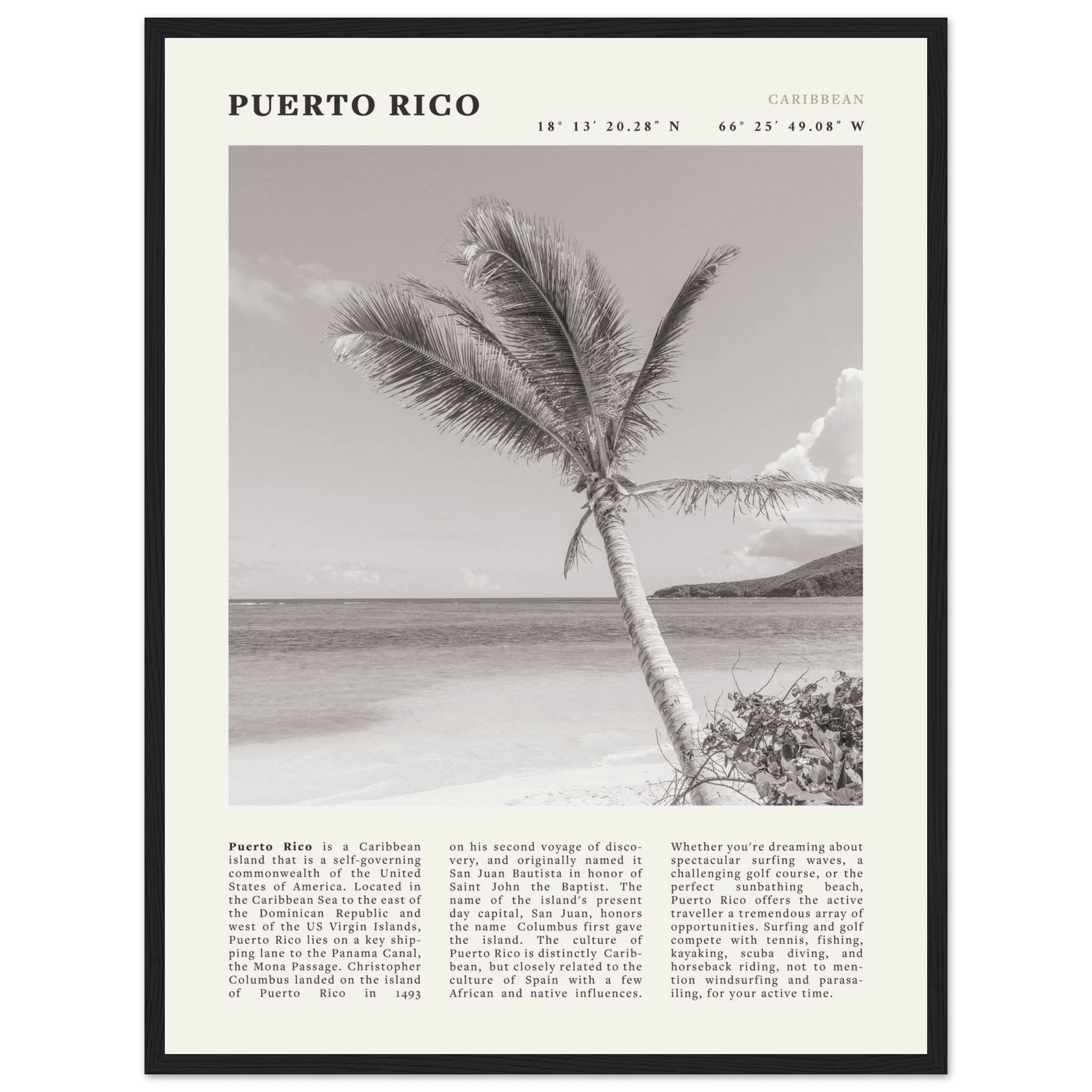 Puerto Rico Poster Black and White – Vintage Caribbean Palm Beach Print (Digital & Printed Options) - Evergreen Posters