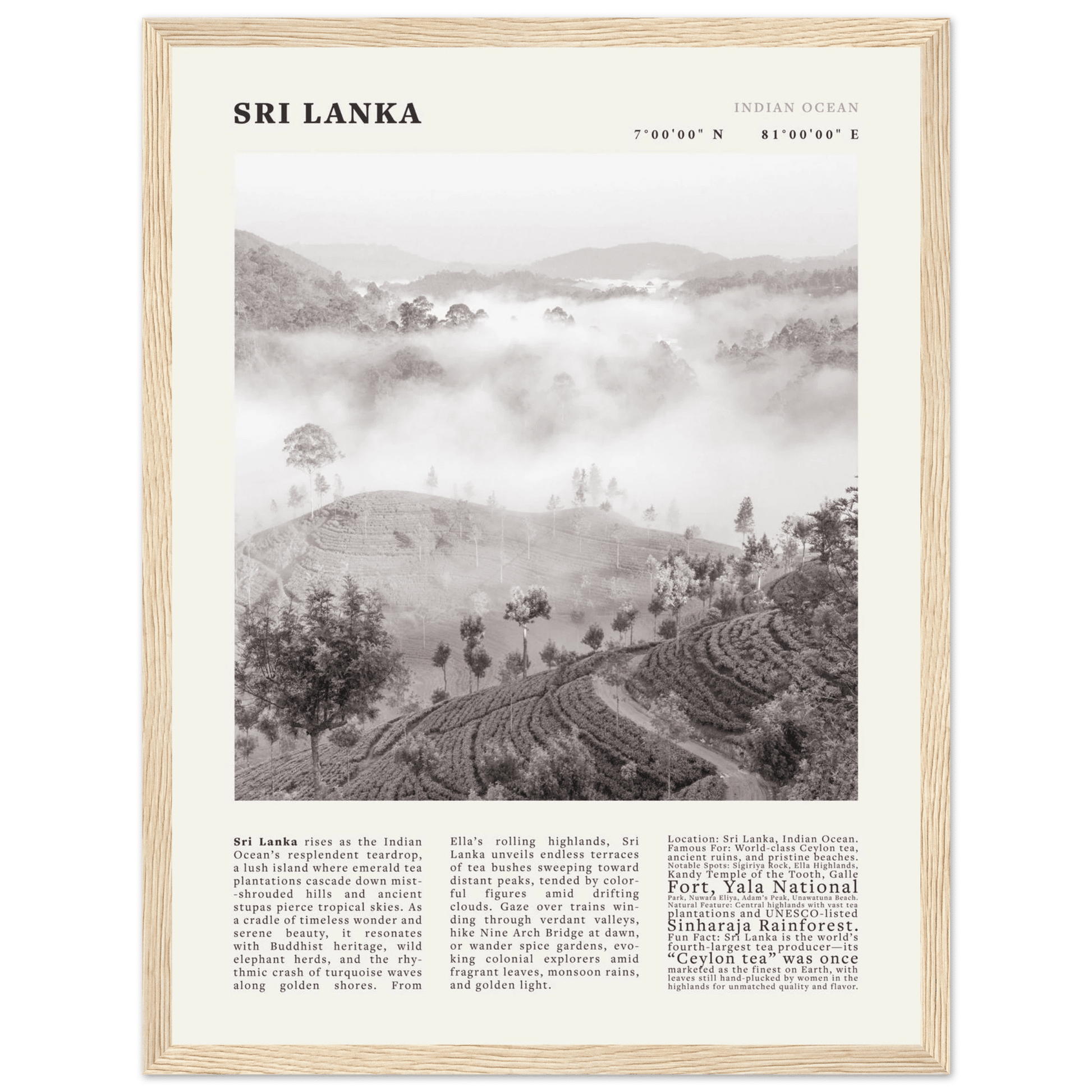 Sri Lanka Poster Black and White – Vintage Ceylon Tea Plantation Print (Digital & Printed Options) - Evergreen Posters