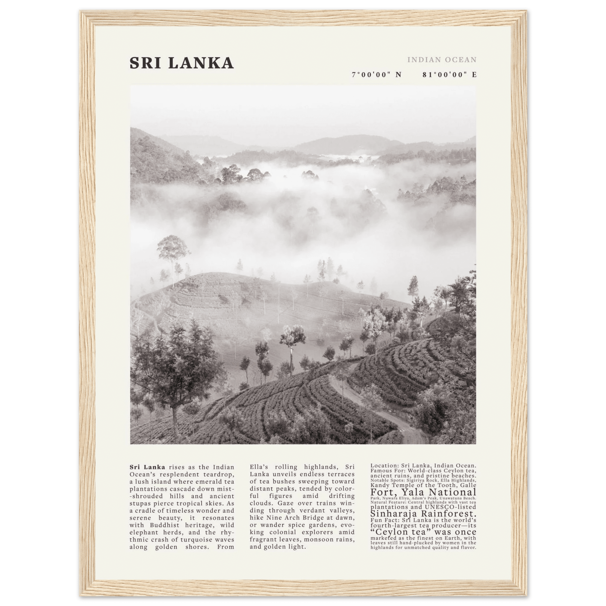 Sri Lanka Poster Black and White – Vintage Ceylon Tea Plantation Print (Digital & Printed Options) - Evergreen Posters