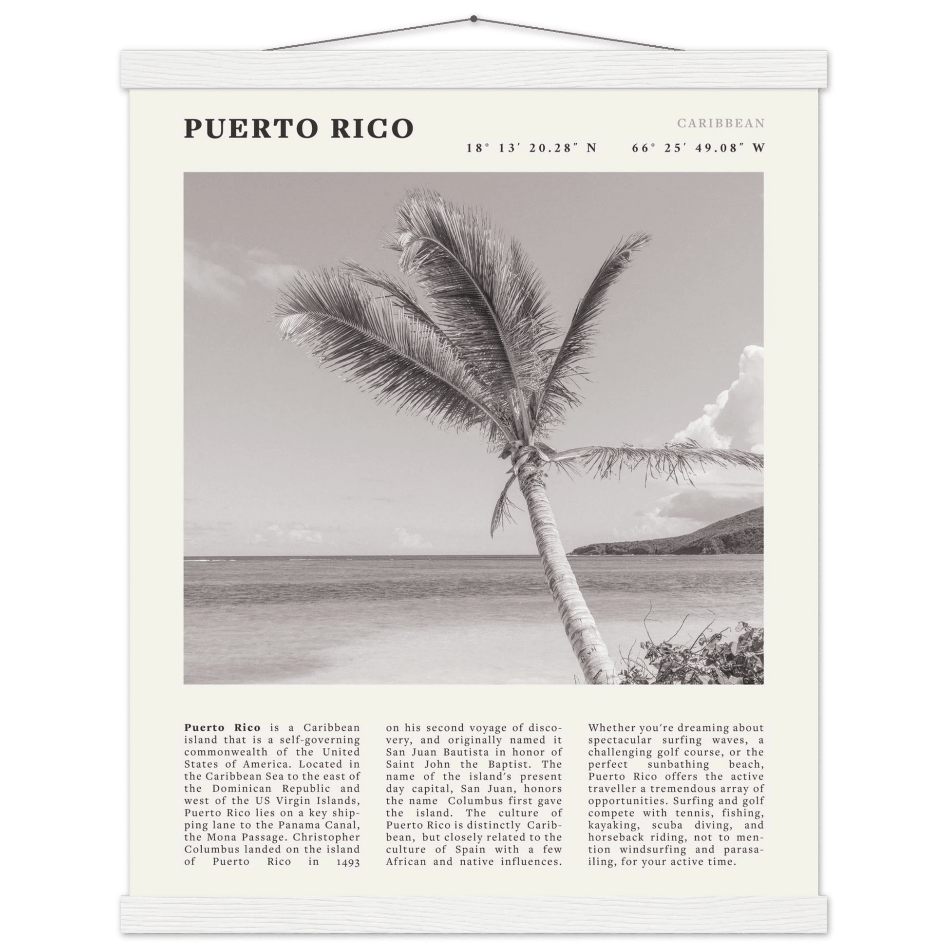 Puerto Rico Poster Black and White – Vintage Caribbean Palm Beach Print (Digital & Printed Options) - Evergreen Posters