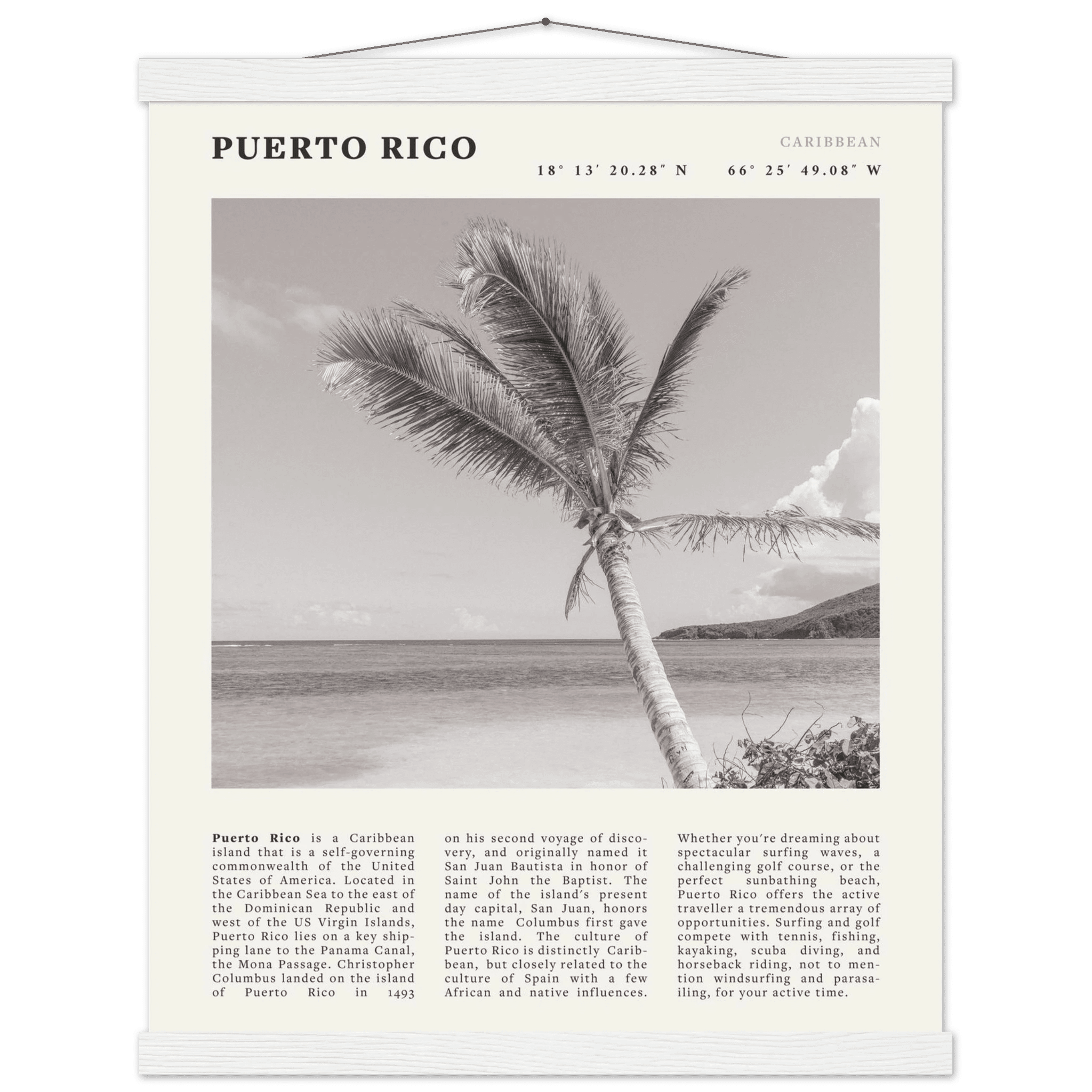 Puerto Rico Poster Black and White – Vintage Caribbean Palm Beach Print (Digital & Printed Options) - Evergreen Posters