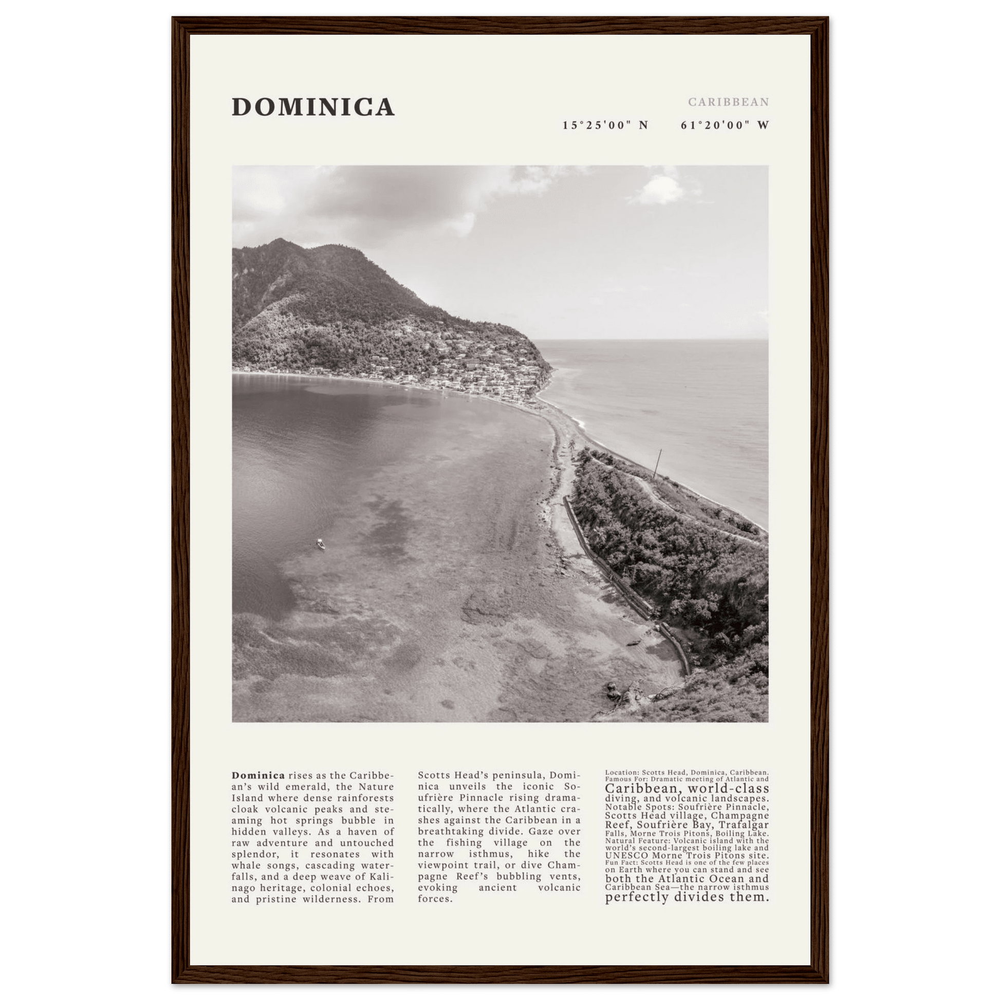 Dominica Poster Black and White – Vintage Caribbean Rainforest Island Print (Digital & Printed Options) - Evergreen Posters